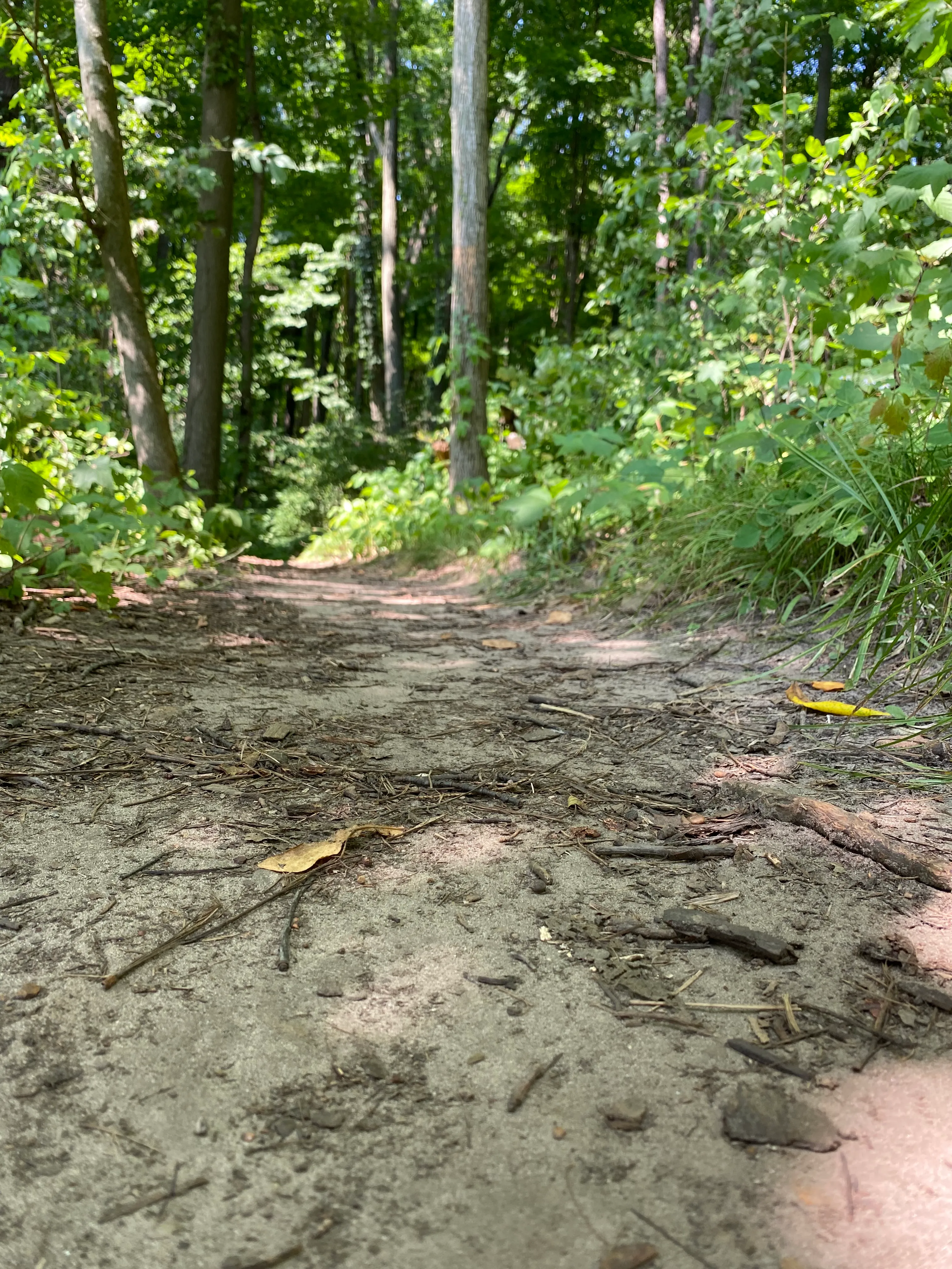 Lepard Nature Preserve Loop