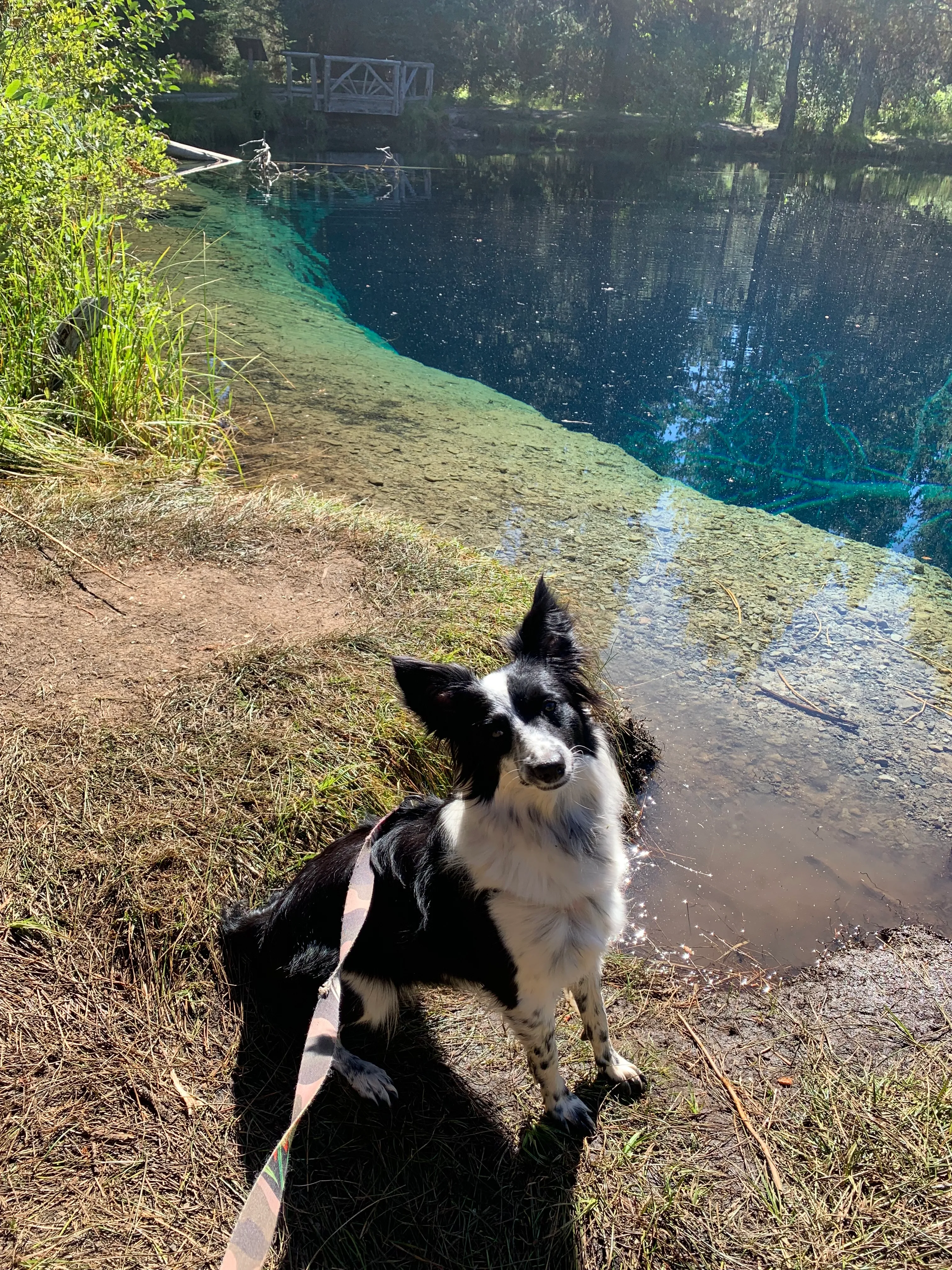 Little Crater Lake to Timothy Lake Campground