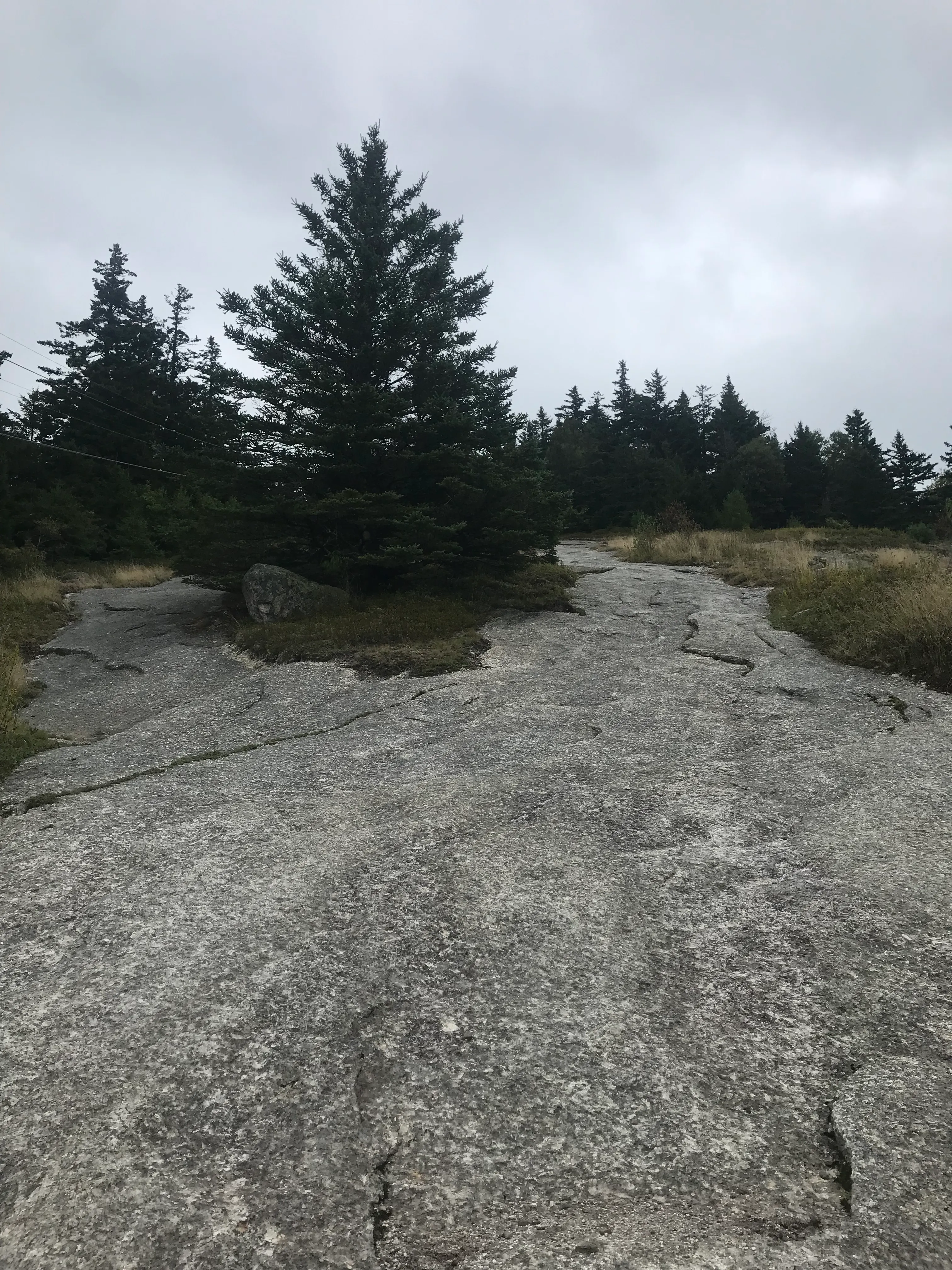 Bald Mountain Loop