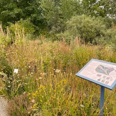 Upper Chalk Creek Trail