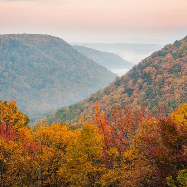 Your guide to fall foliage on the East Coast