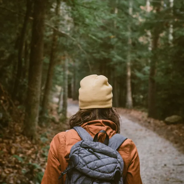 A Field Guide to Fall Hiking in Southern Ontario