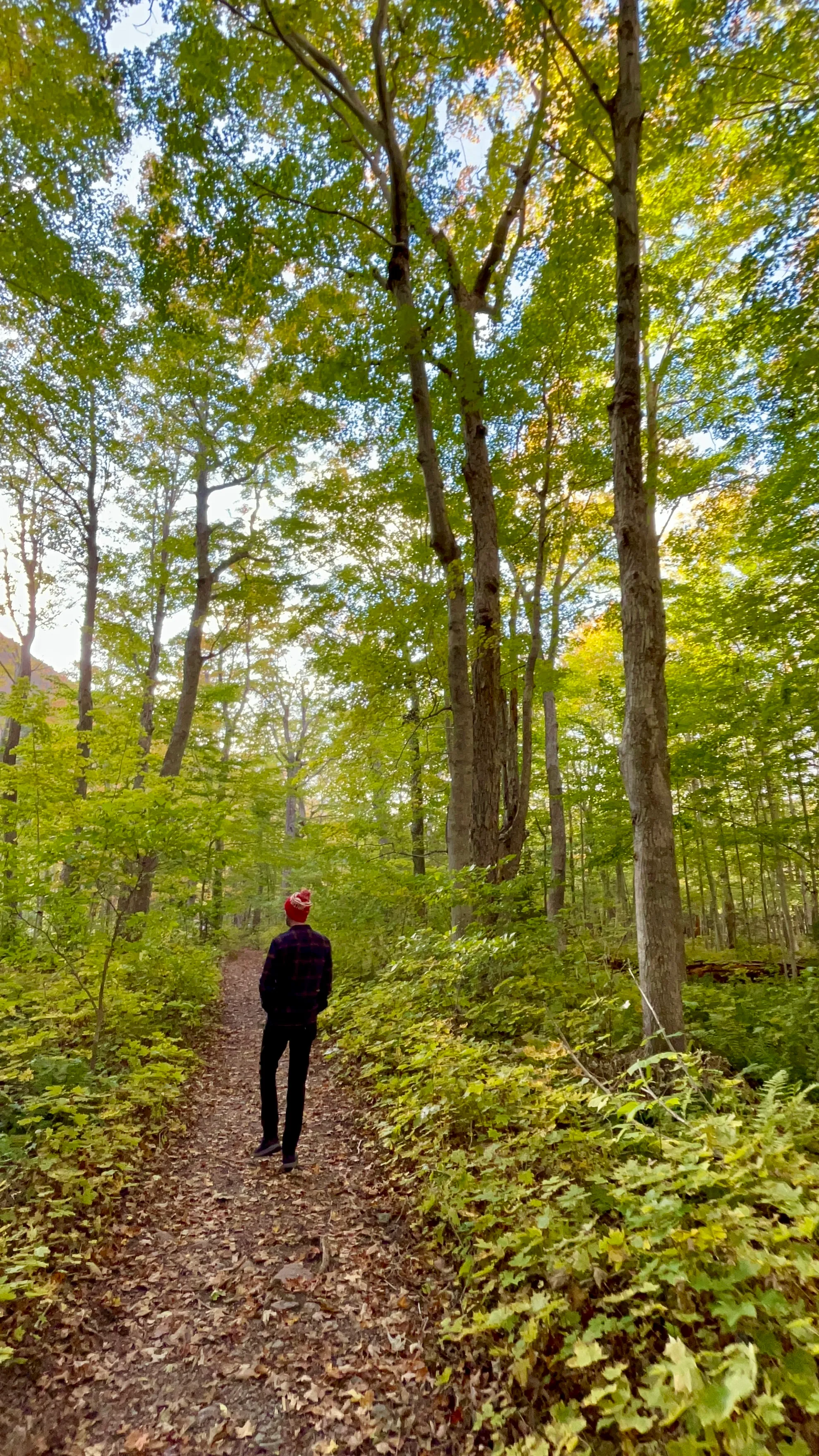 Lone Shieling Trail