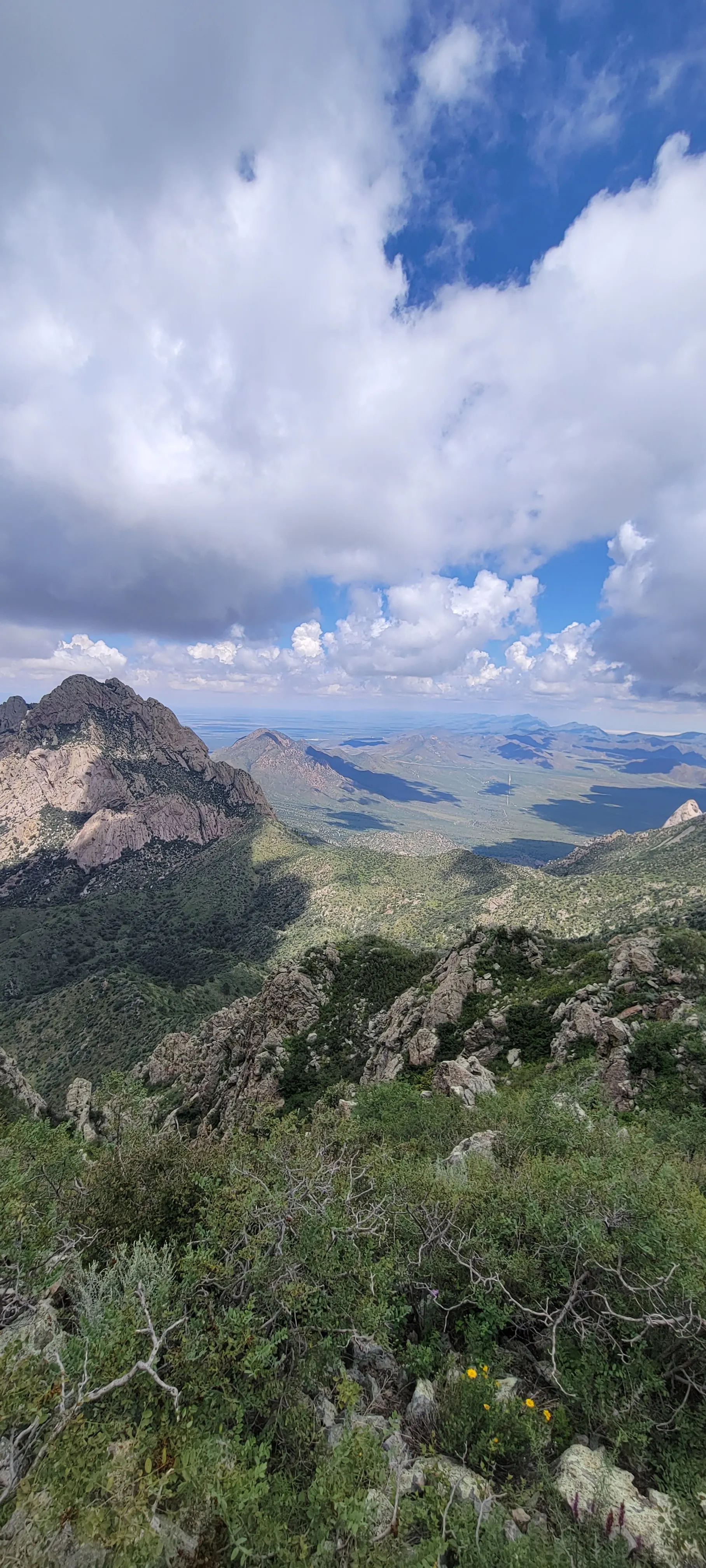 Organ Peak Trail