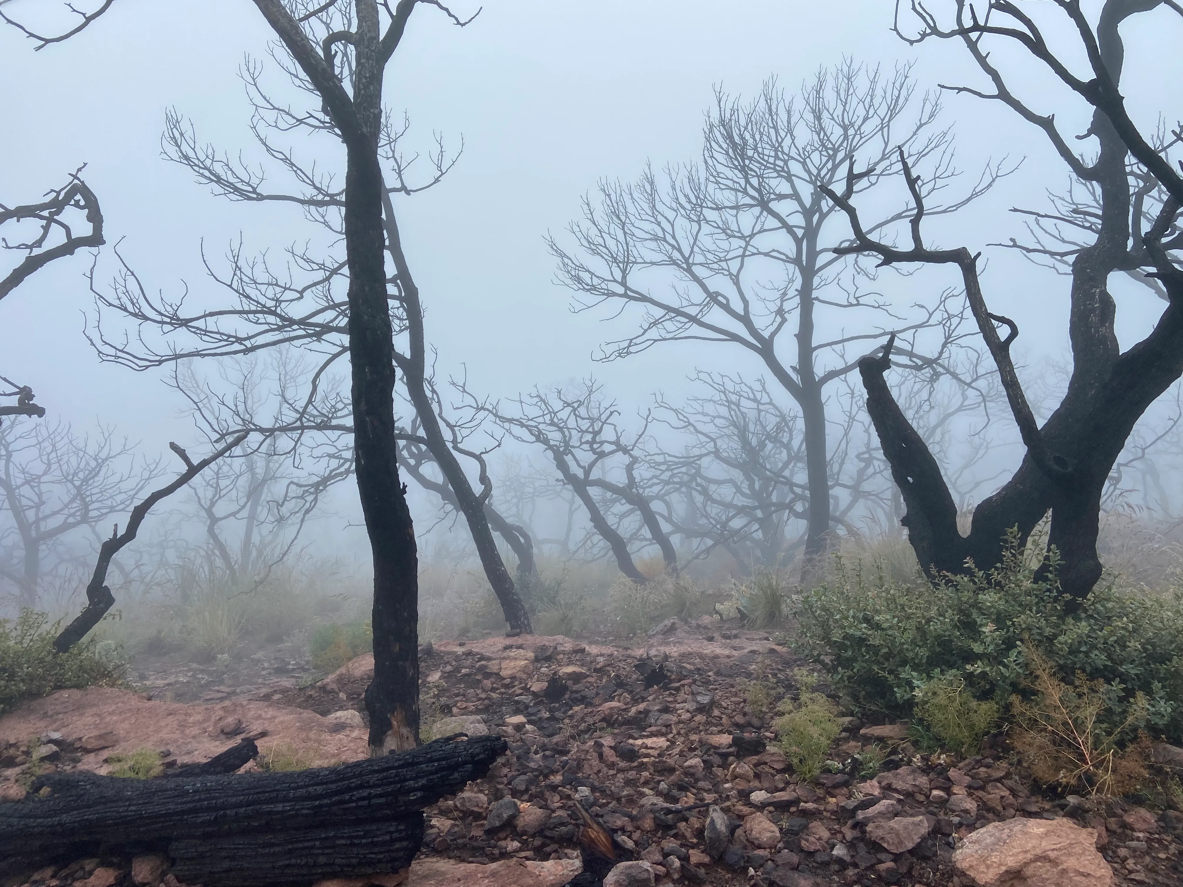 Hike South Rim Trail Boot Springs Trail