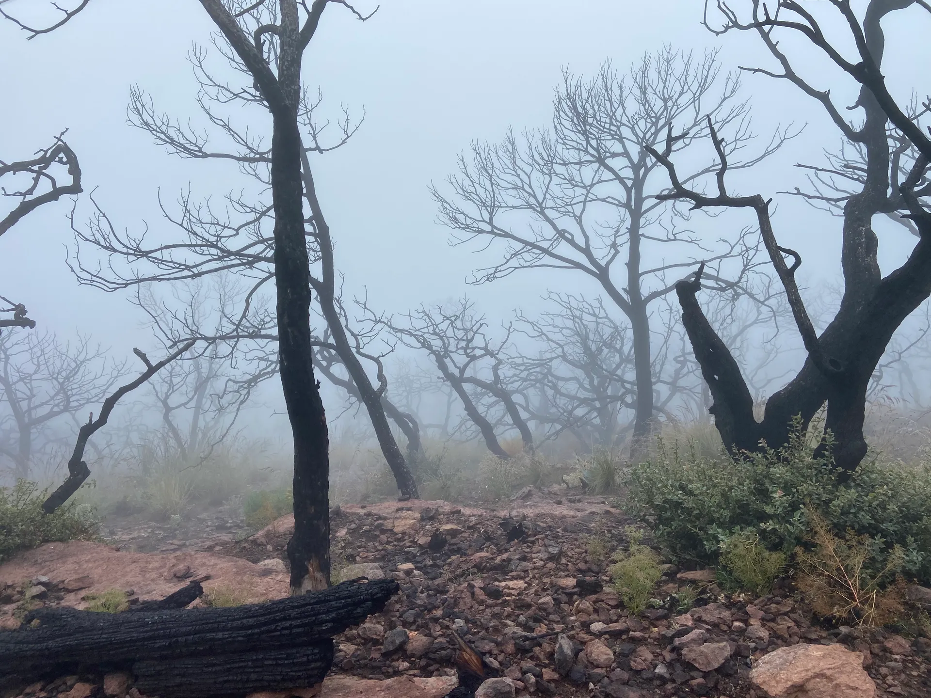 Hike South Rim Trail Boot Springs Trail