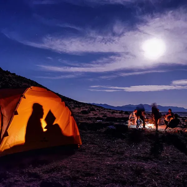 Our favorite spooky books to read around the fire 