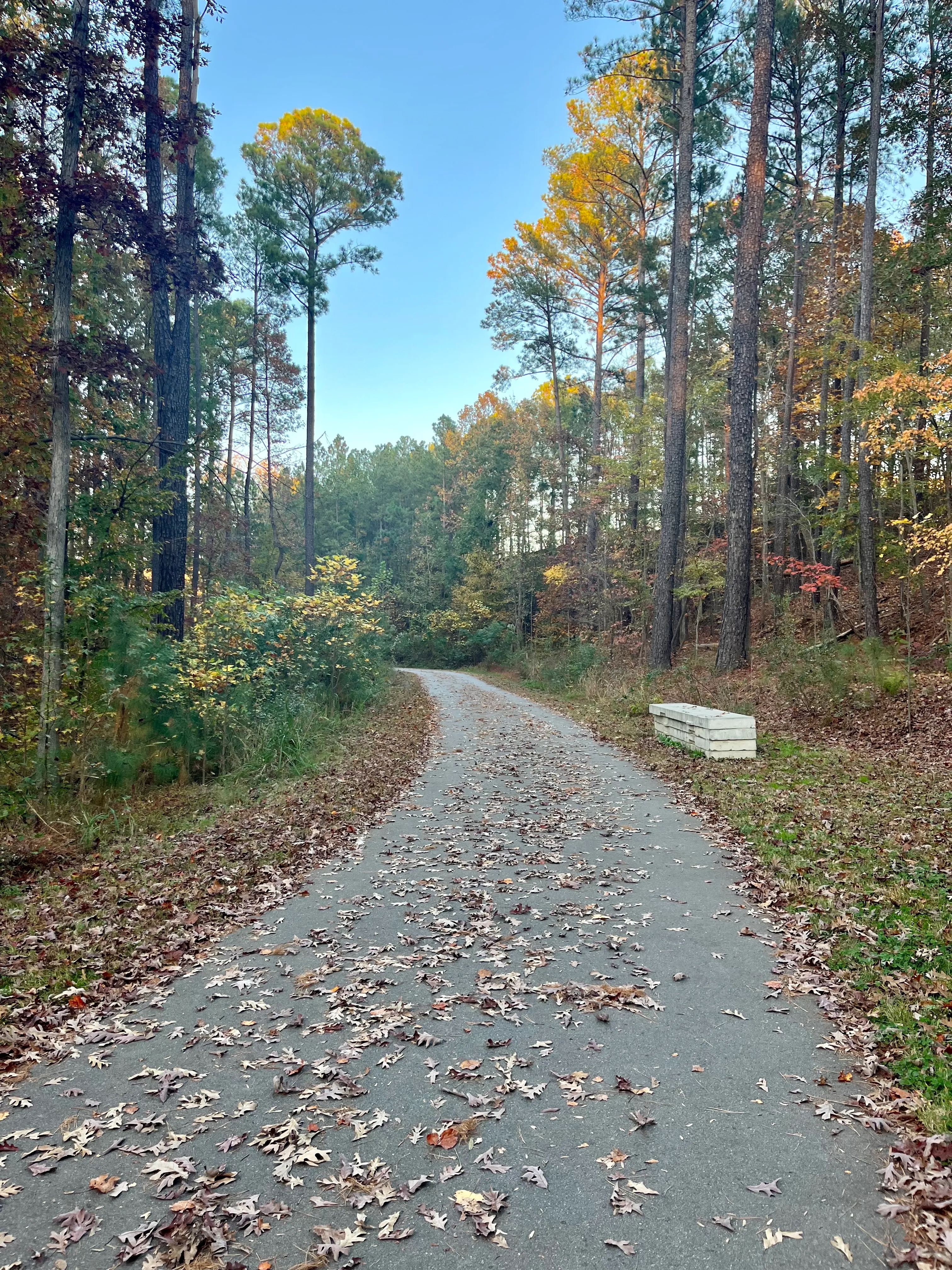 Black Creek Greenway to Lake Crabtree