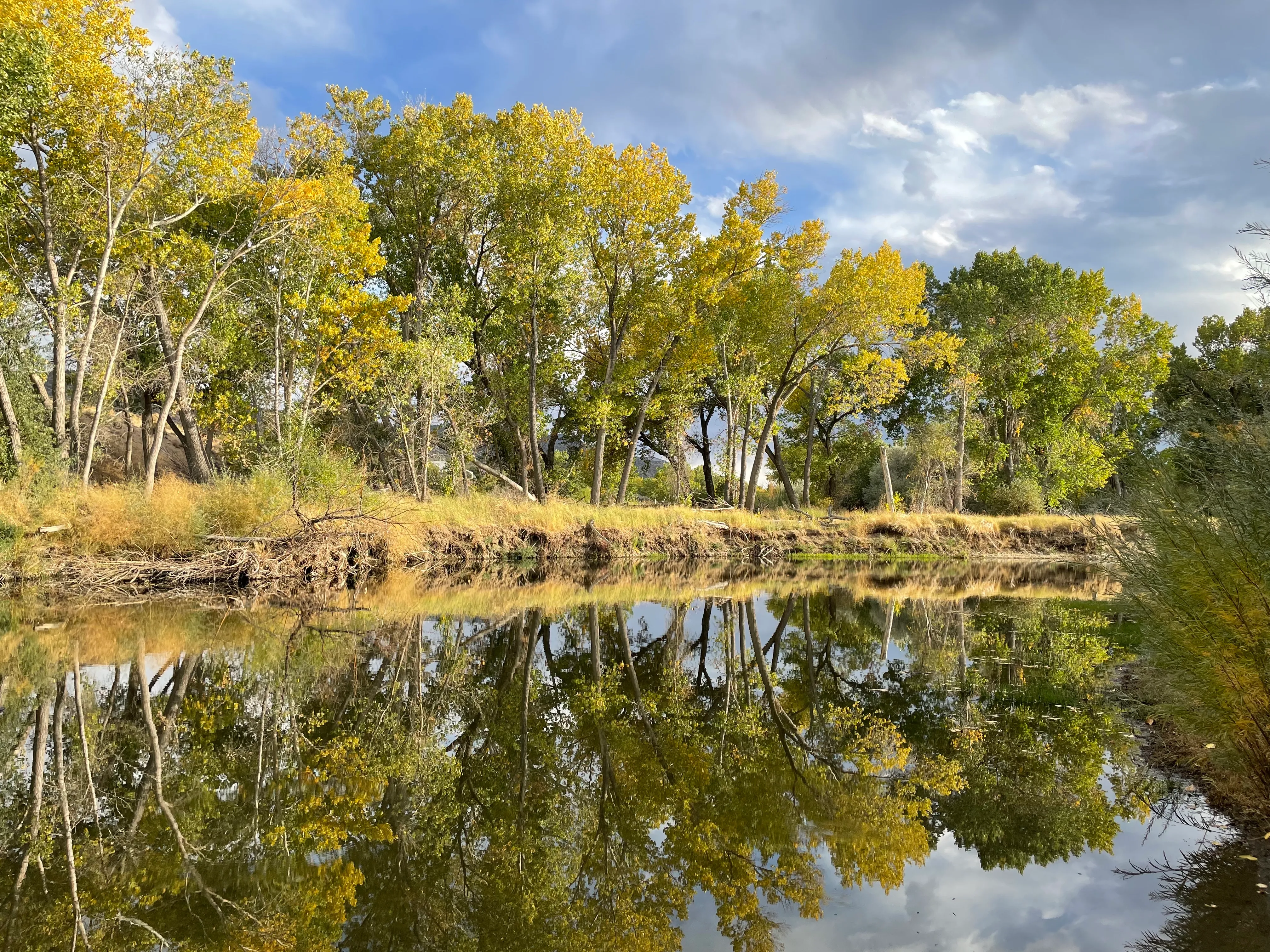 Riverview Park Loop