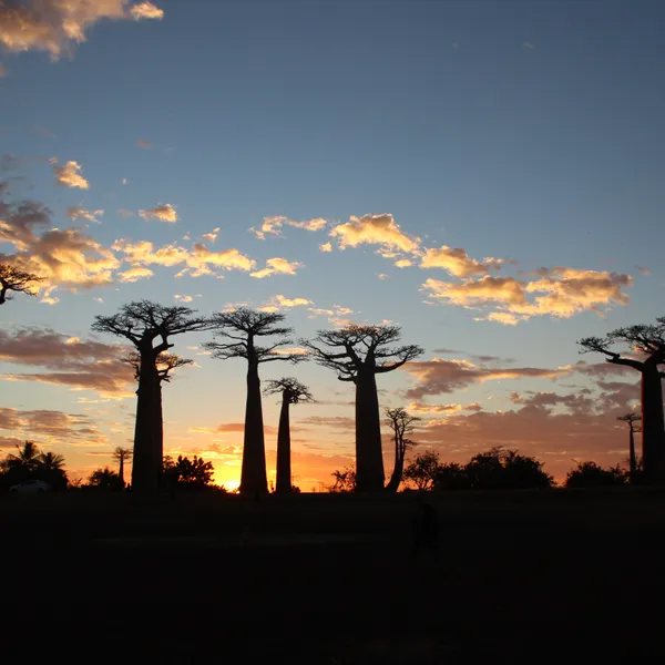 3 African adventures I wish I had done