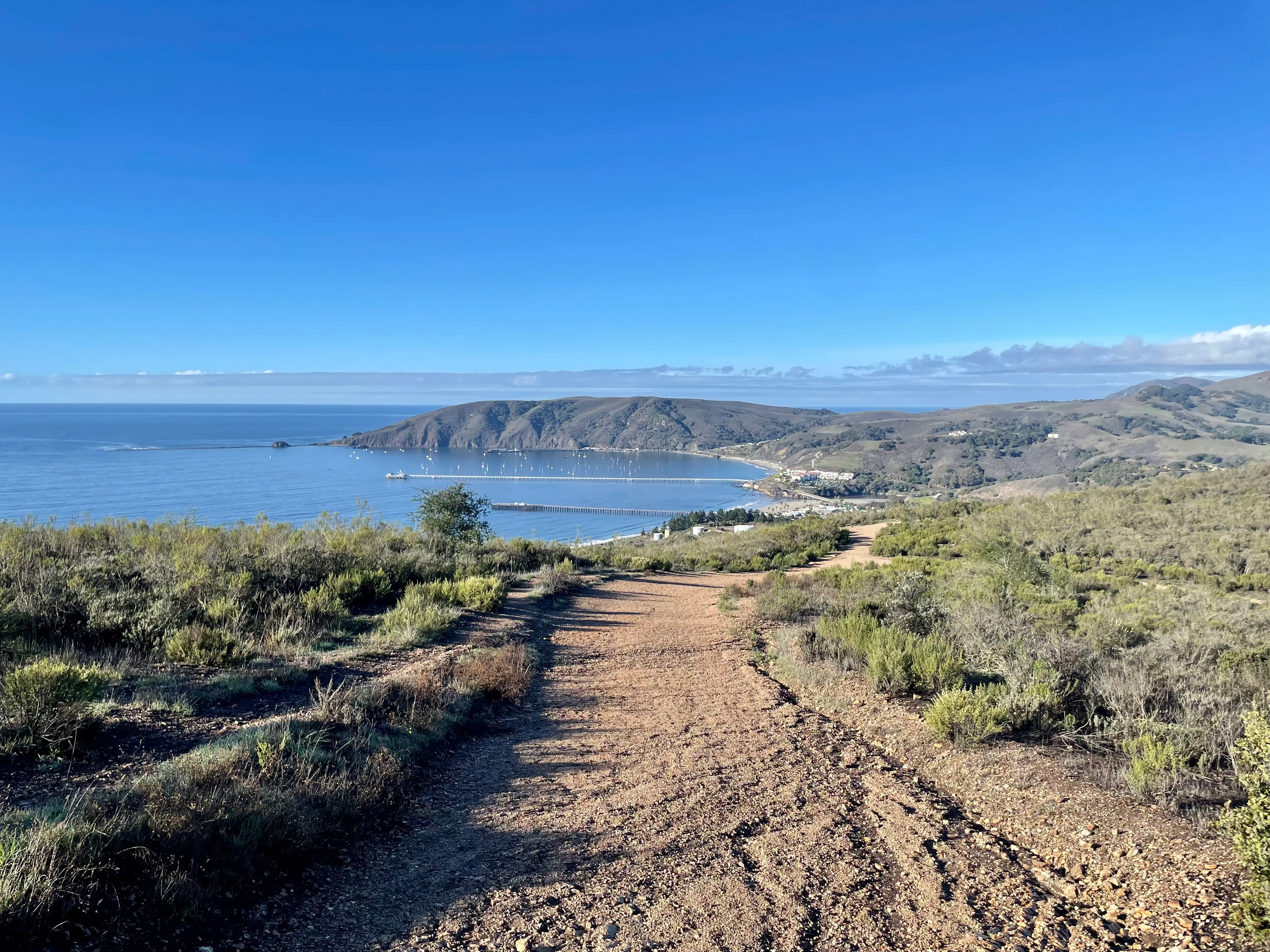 Ontario Ridge to Shell Beach Bluff Trail Loop
