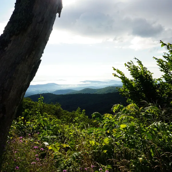 Top 5 beginner hikes with gorgeous views around Shenandoah National Park