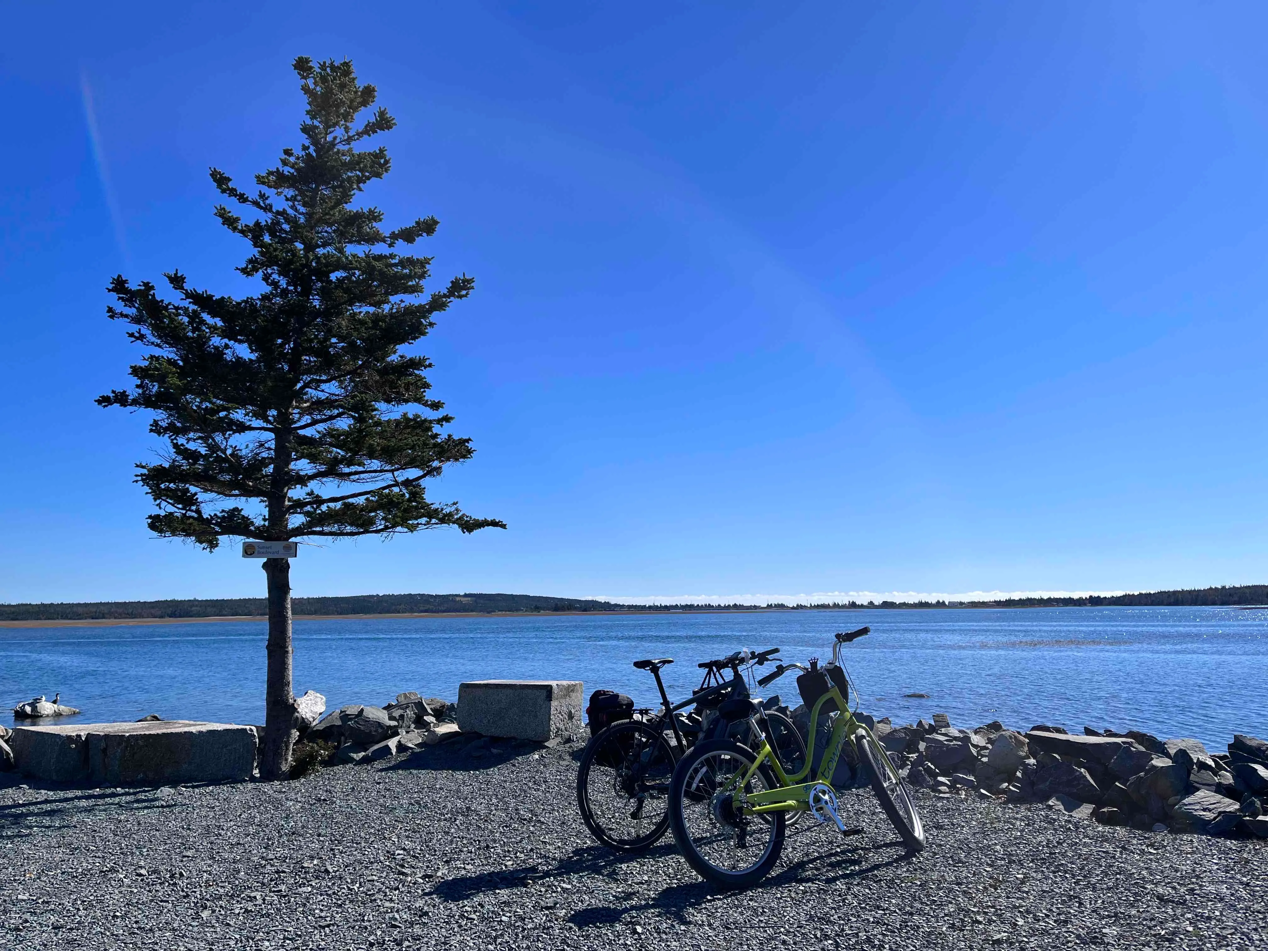 Salt Marsh Trail to Lawrencetown Beach