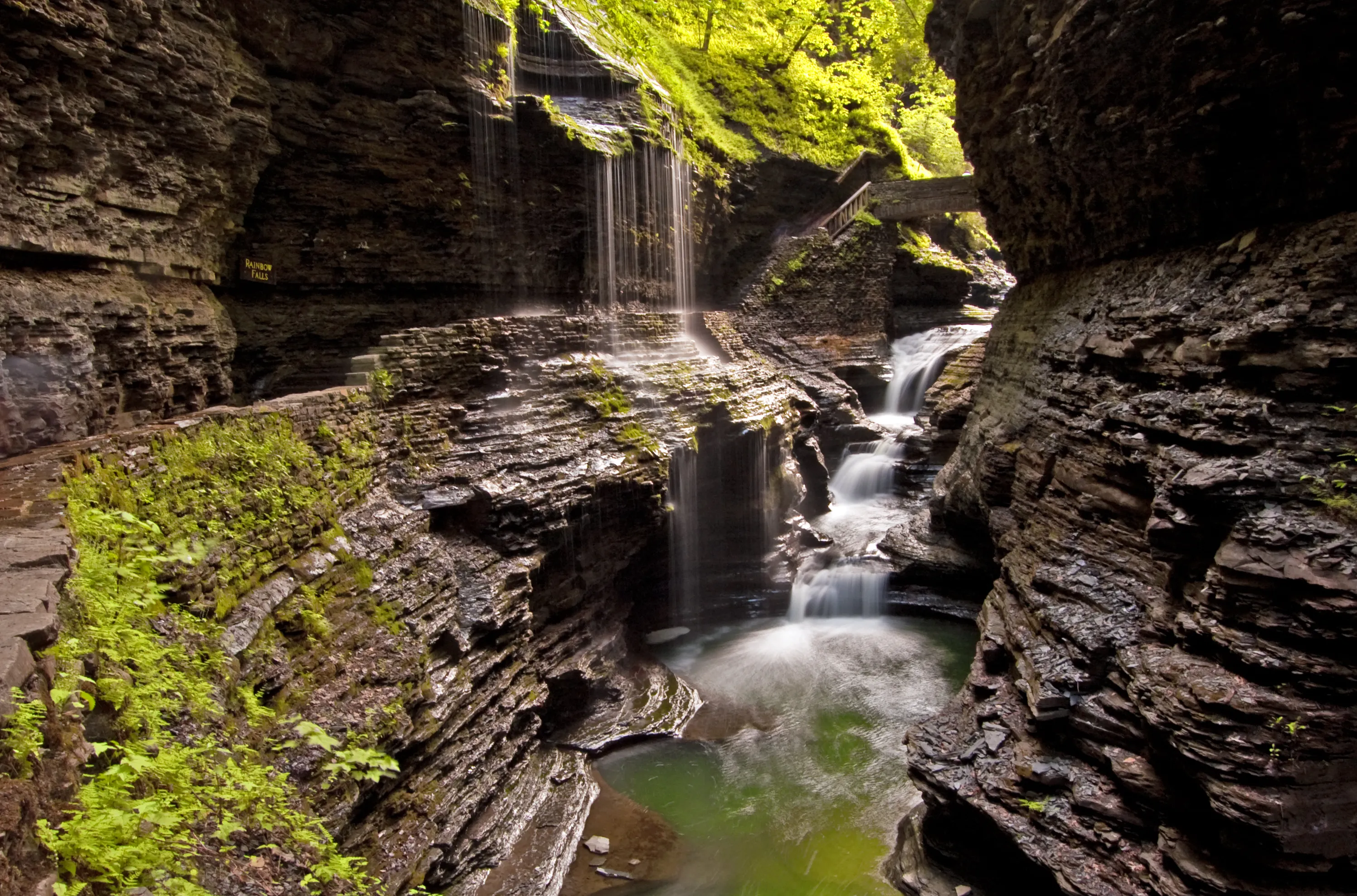 Gorge Trail and Lovers Lane Loop