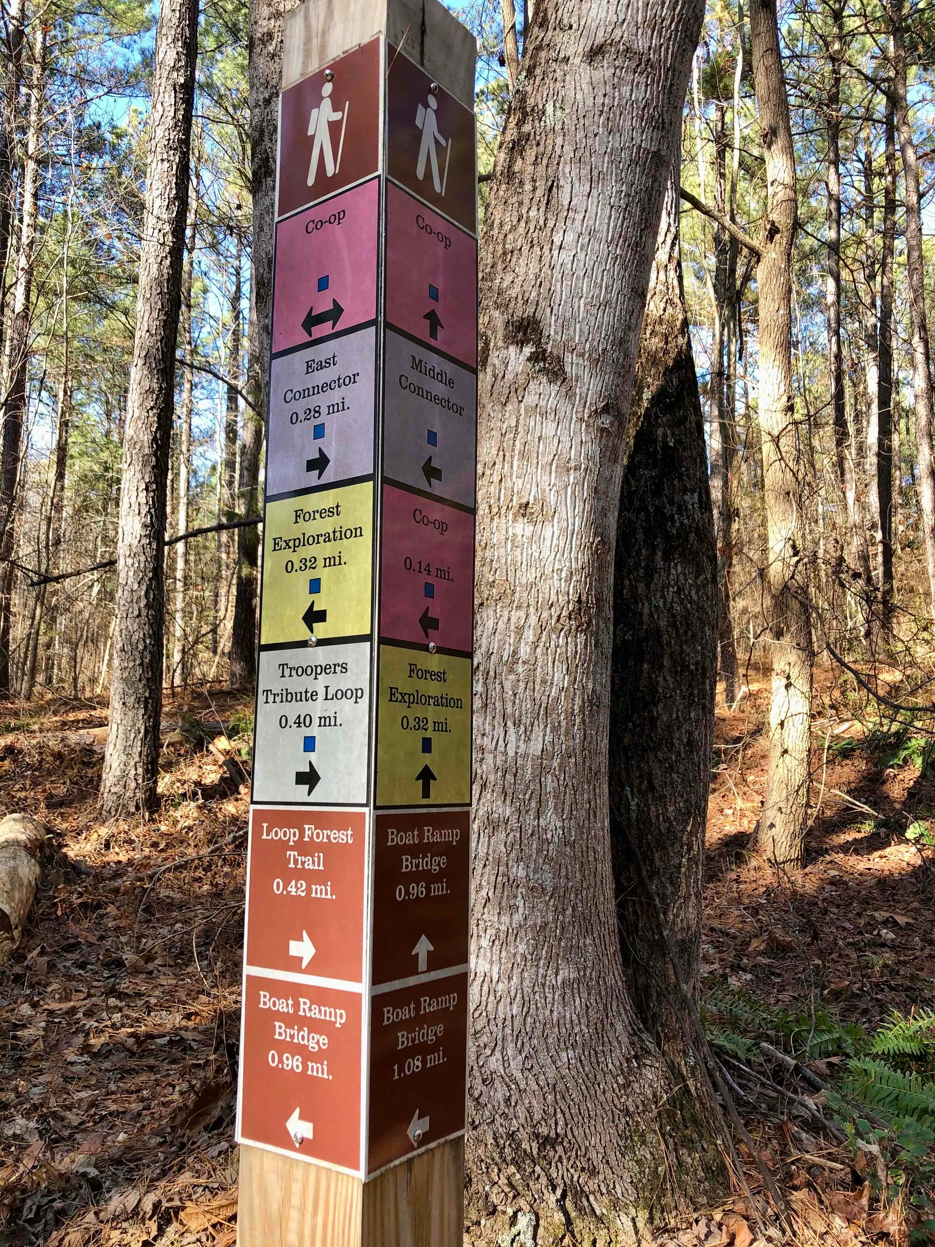 Co-op Trail