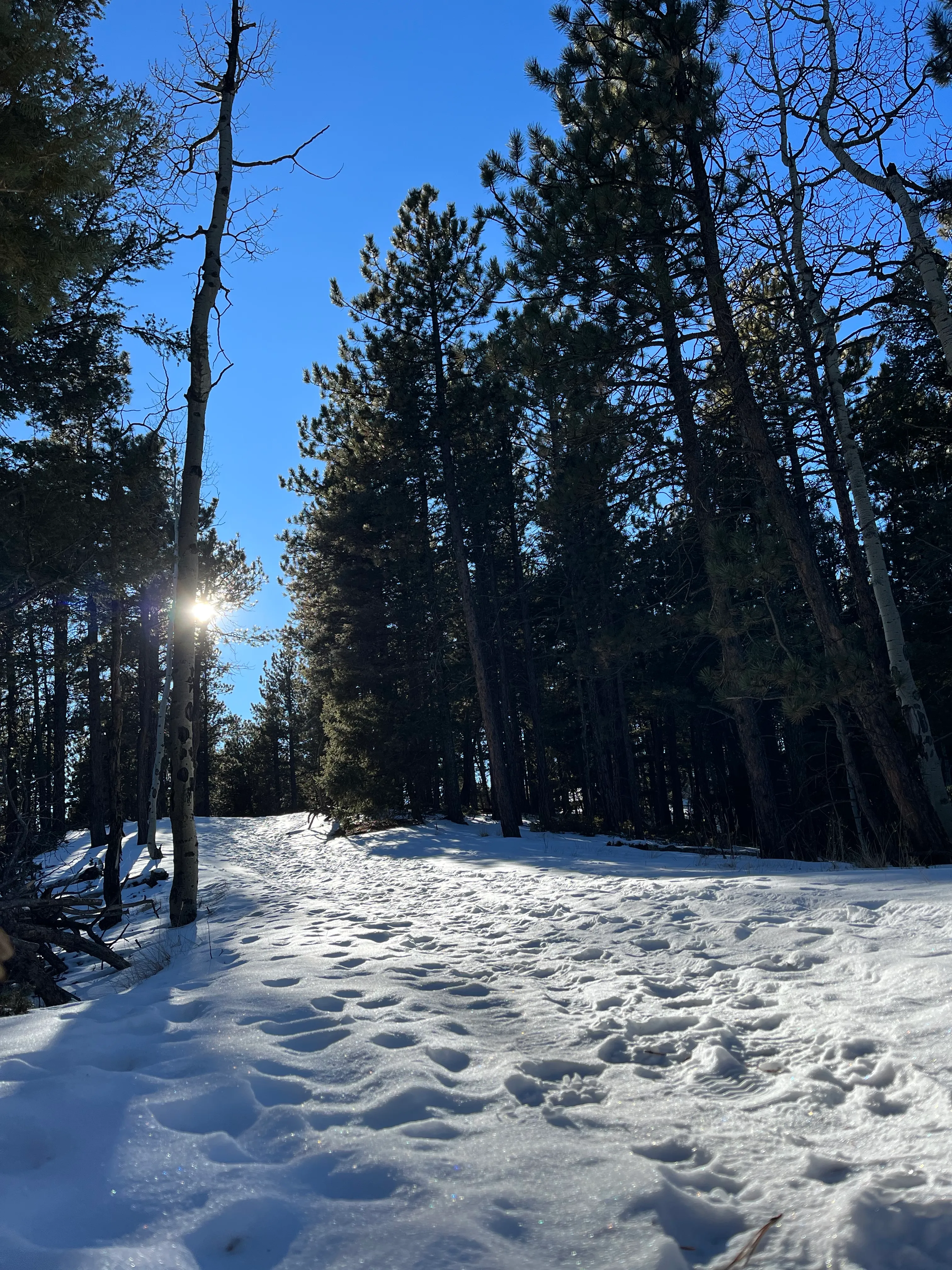 Lovell Gulch Trail
