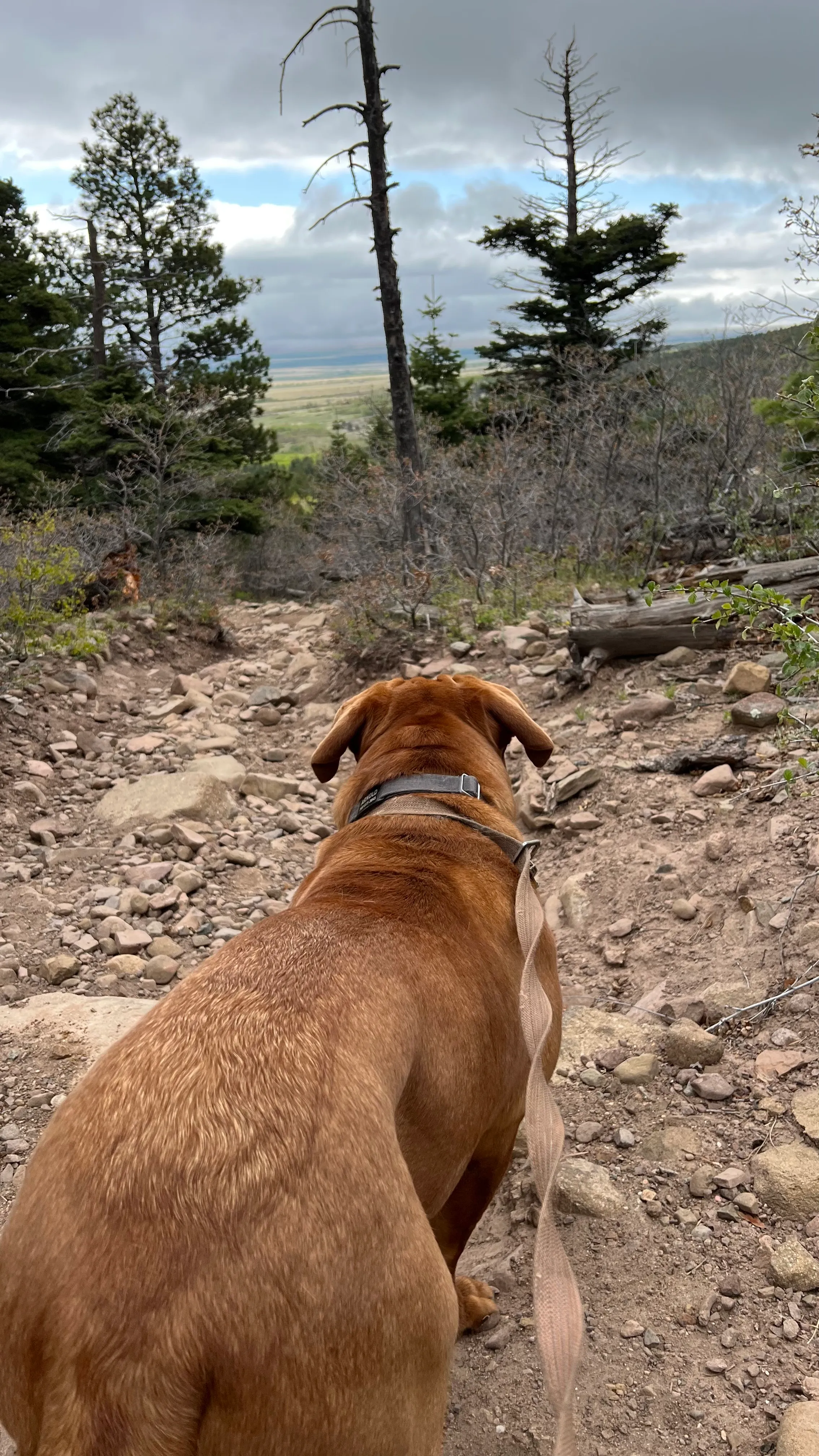 Venable-Comanche Trail