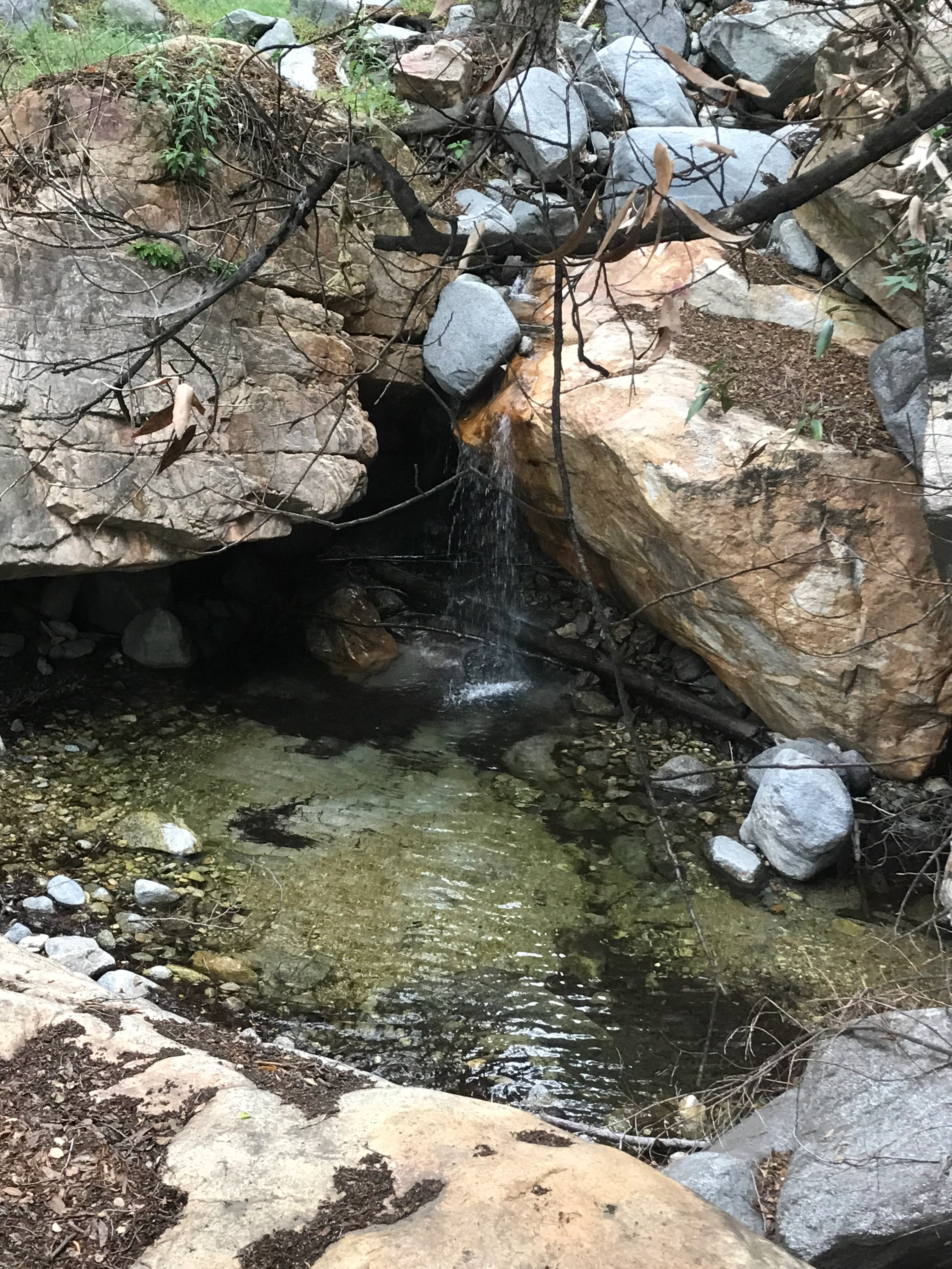 Idlehour Trail