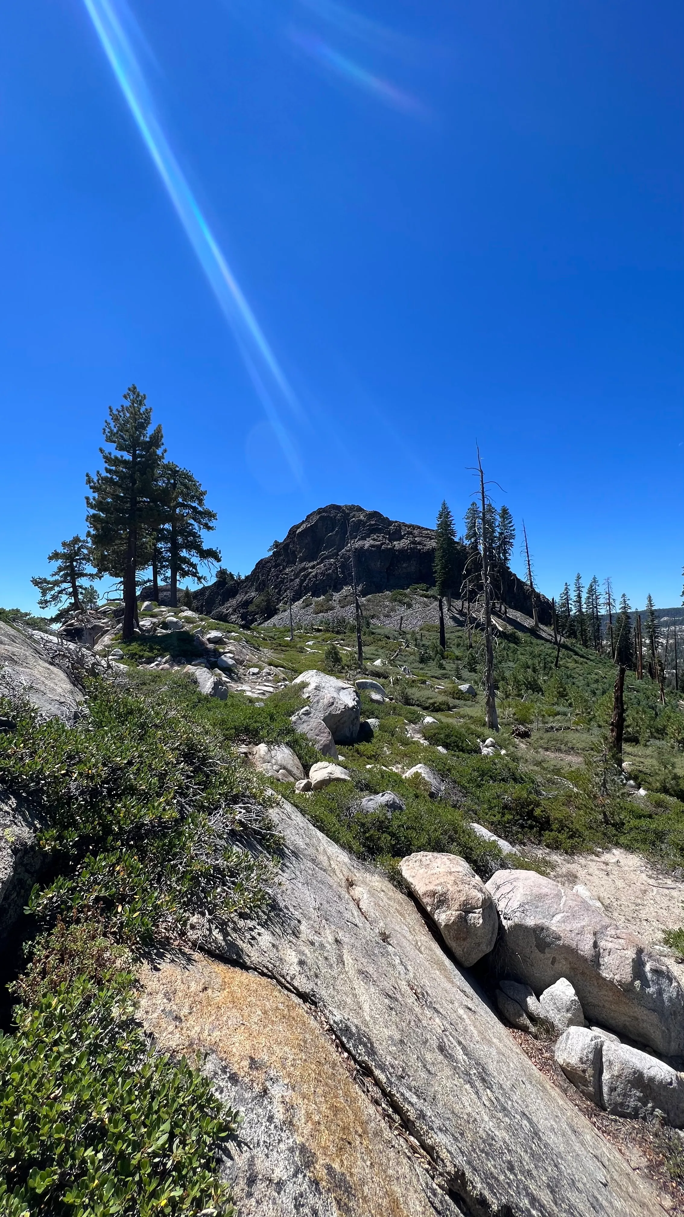 Upper Gardner Meadow via Highland Lakes Trail