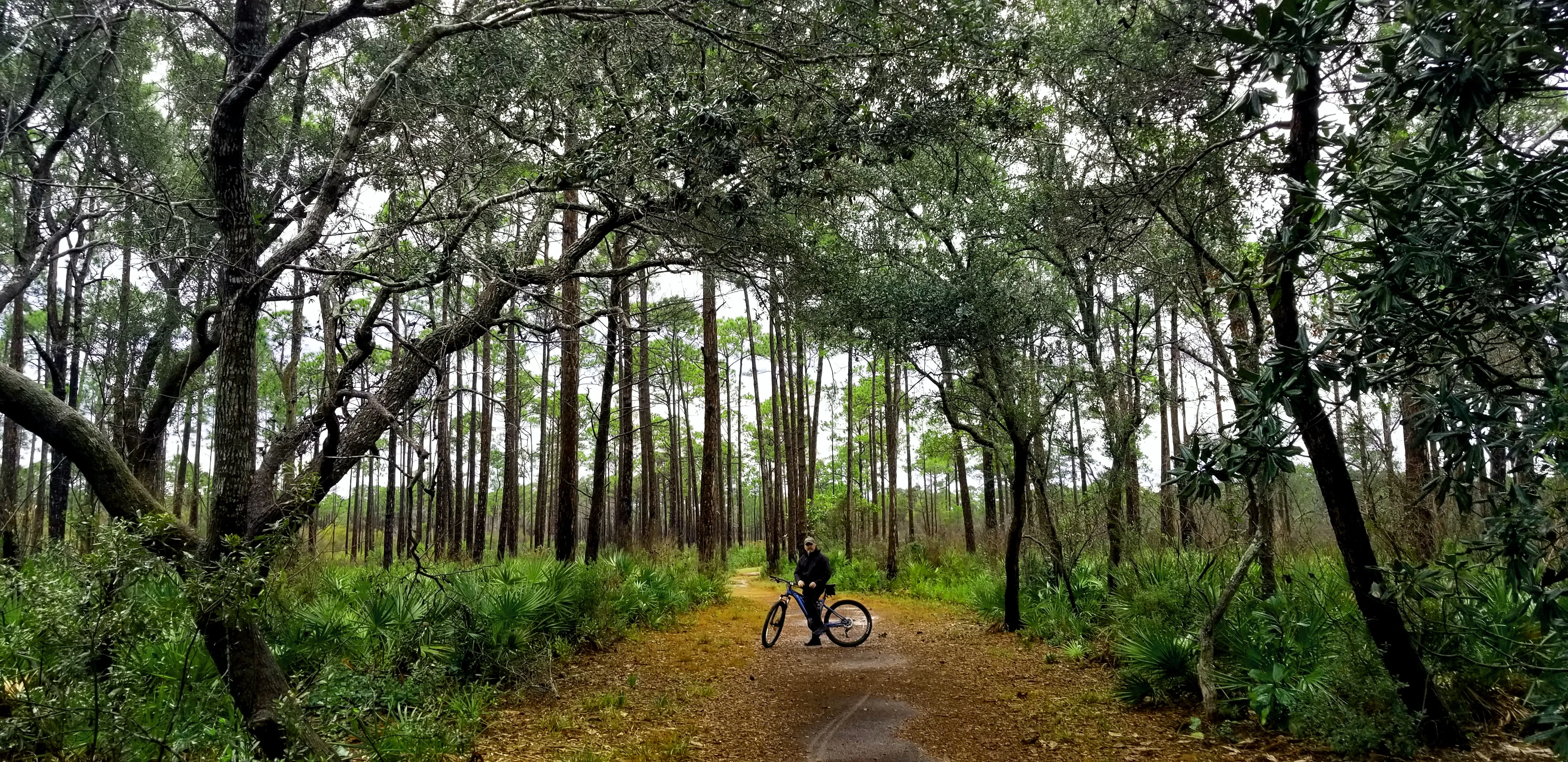 Topsail Trails