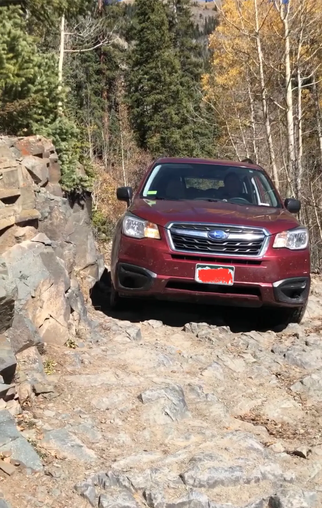 Mineral Creek OHV Trail