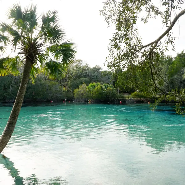 Eager to Visit Florida? Why February is the Best Time to go