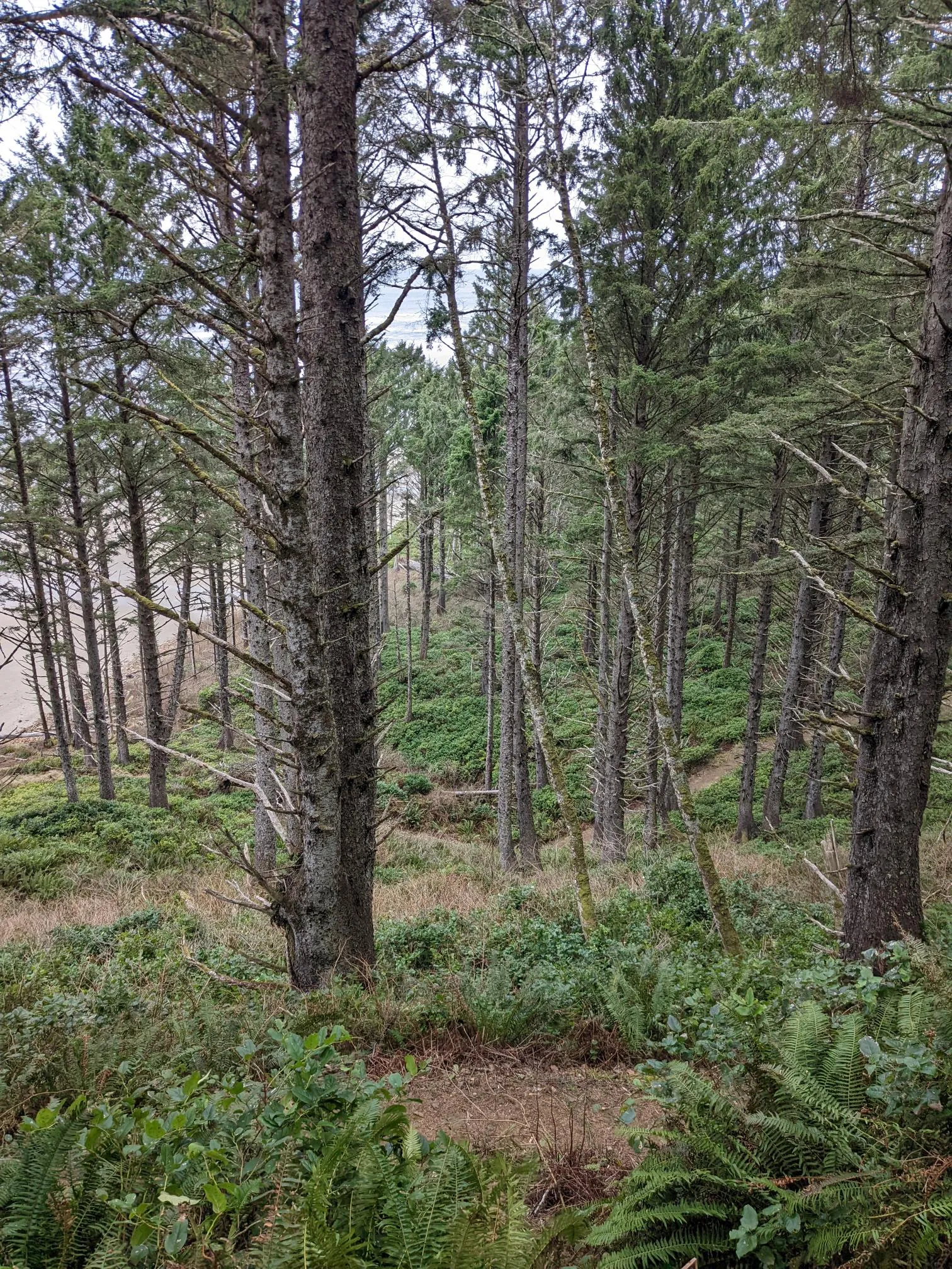 North Trail