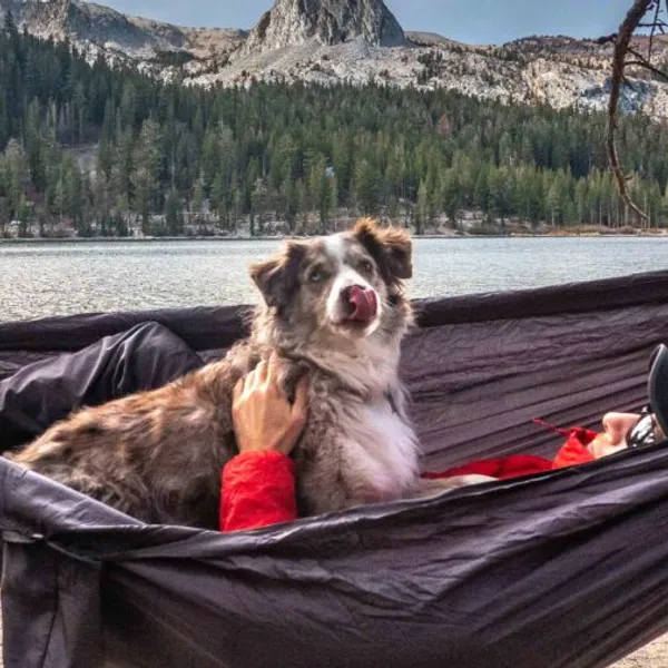 Proview: ENO TravelNest Hammock & Straps