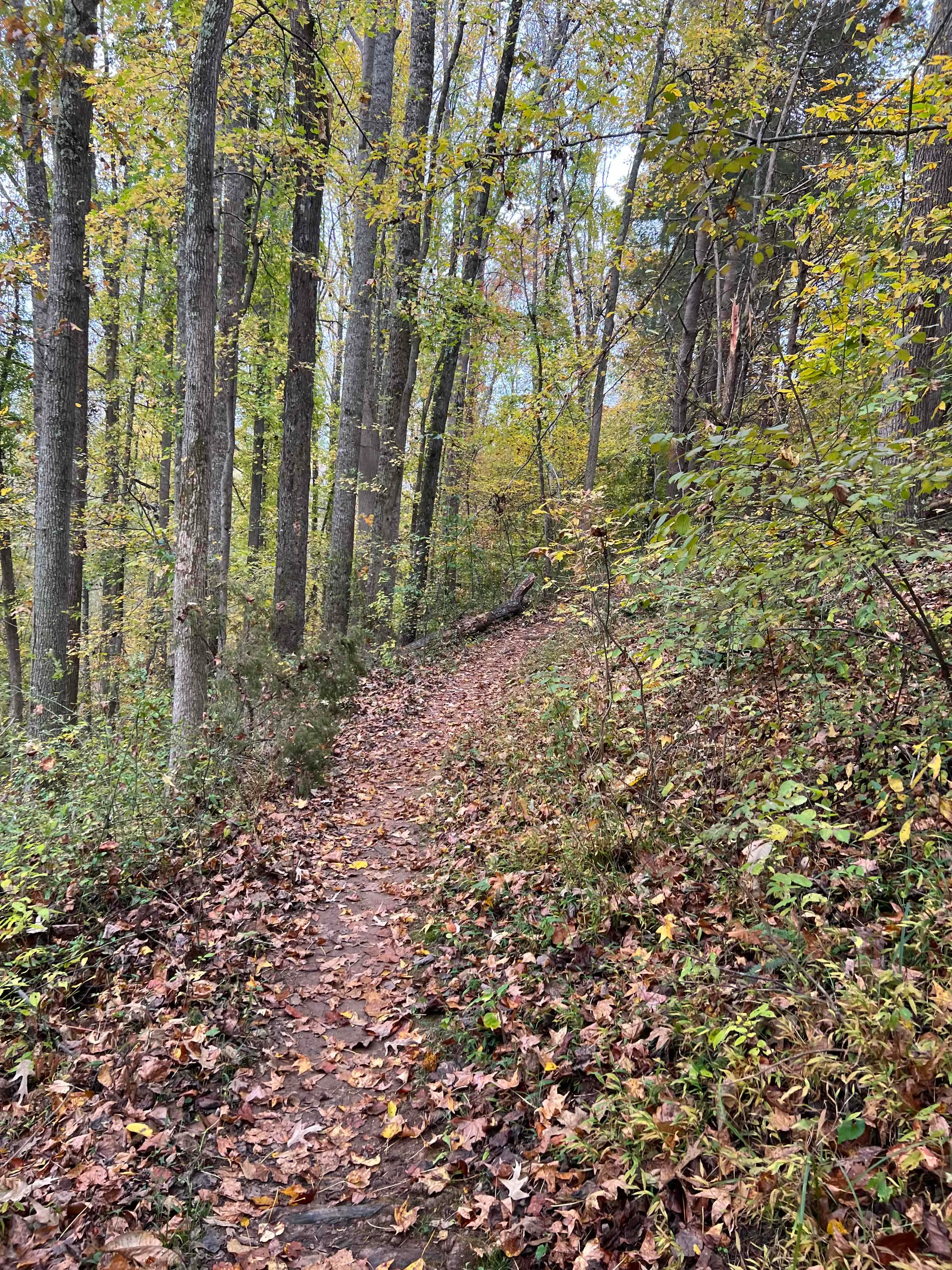 Pleasant Grove Park: Heritage Trail and Beach Grove Loop