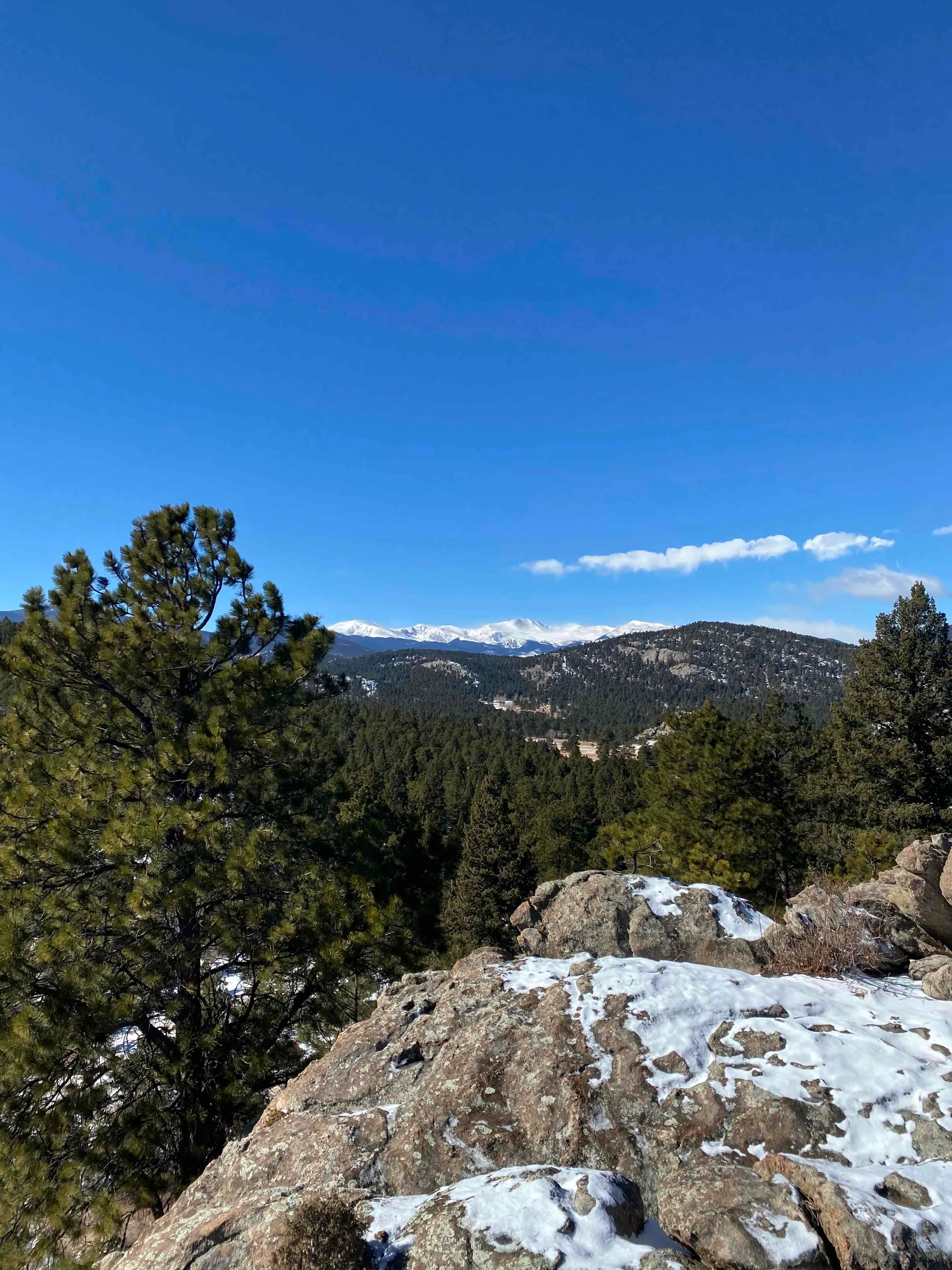 Straight River Trail and Alexander Park Trail