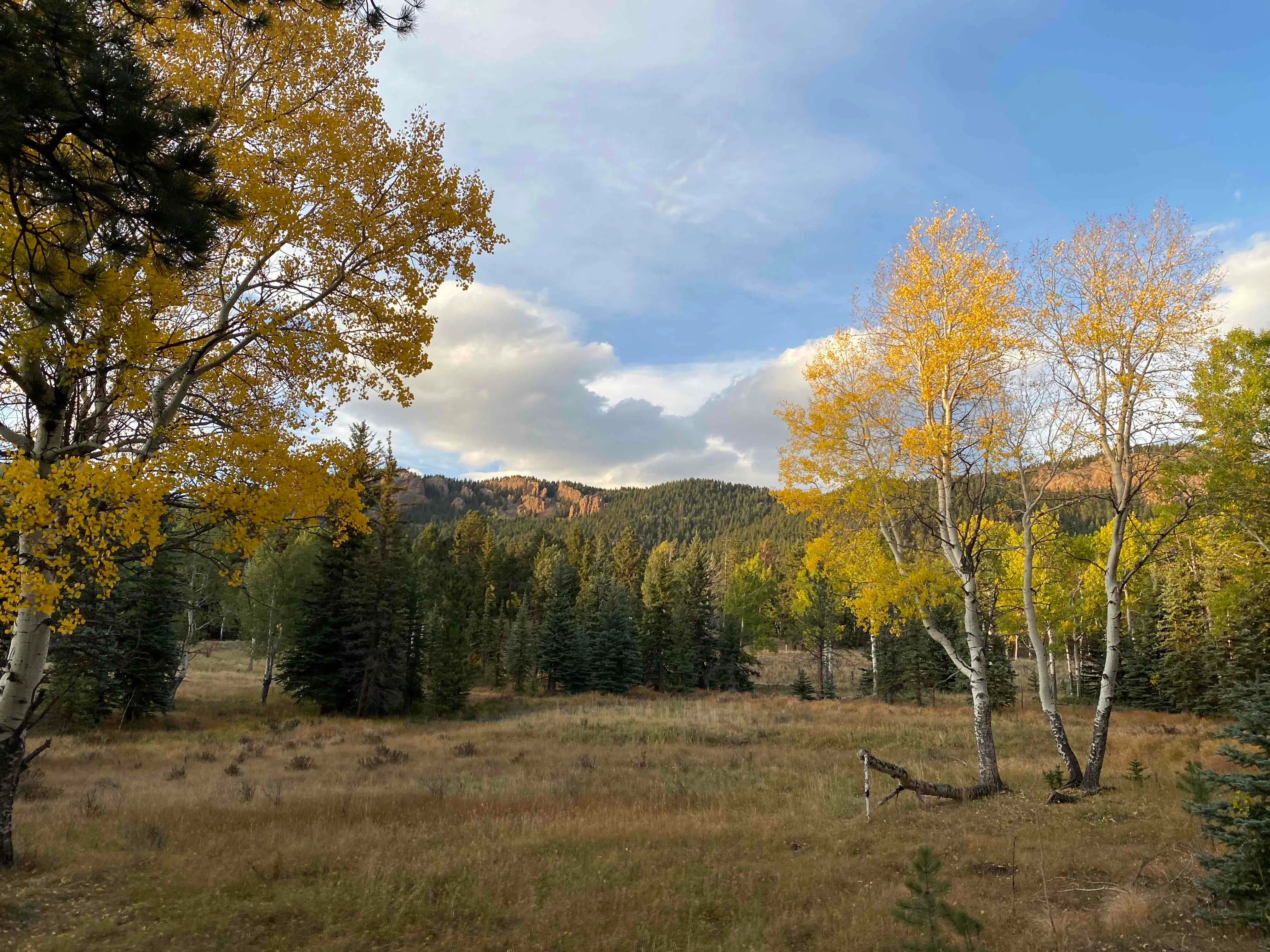 Davis Ponds Trail