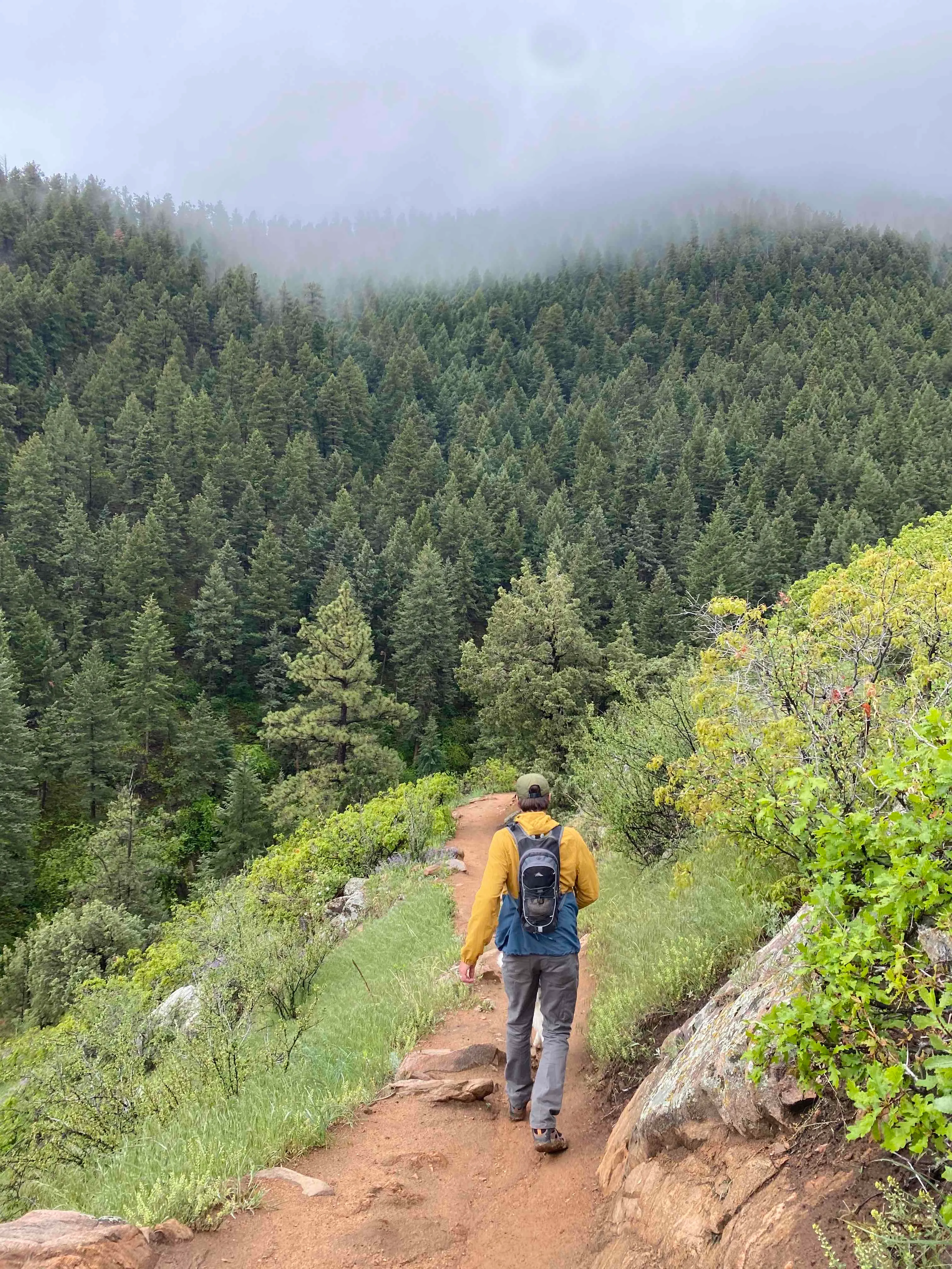 Golden Eagle Trail to Bill Couch Mountain