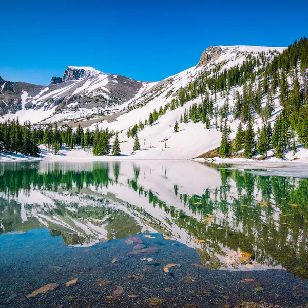 10 National parks that offer free admission