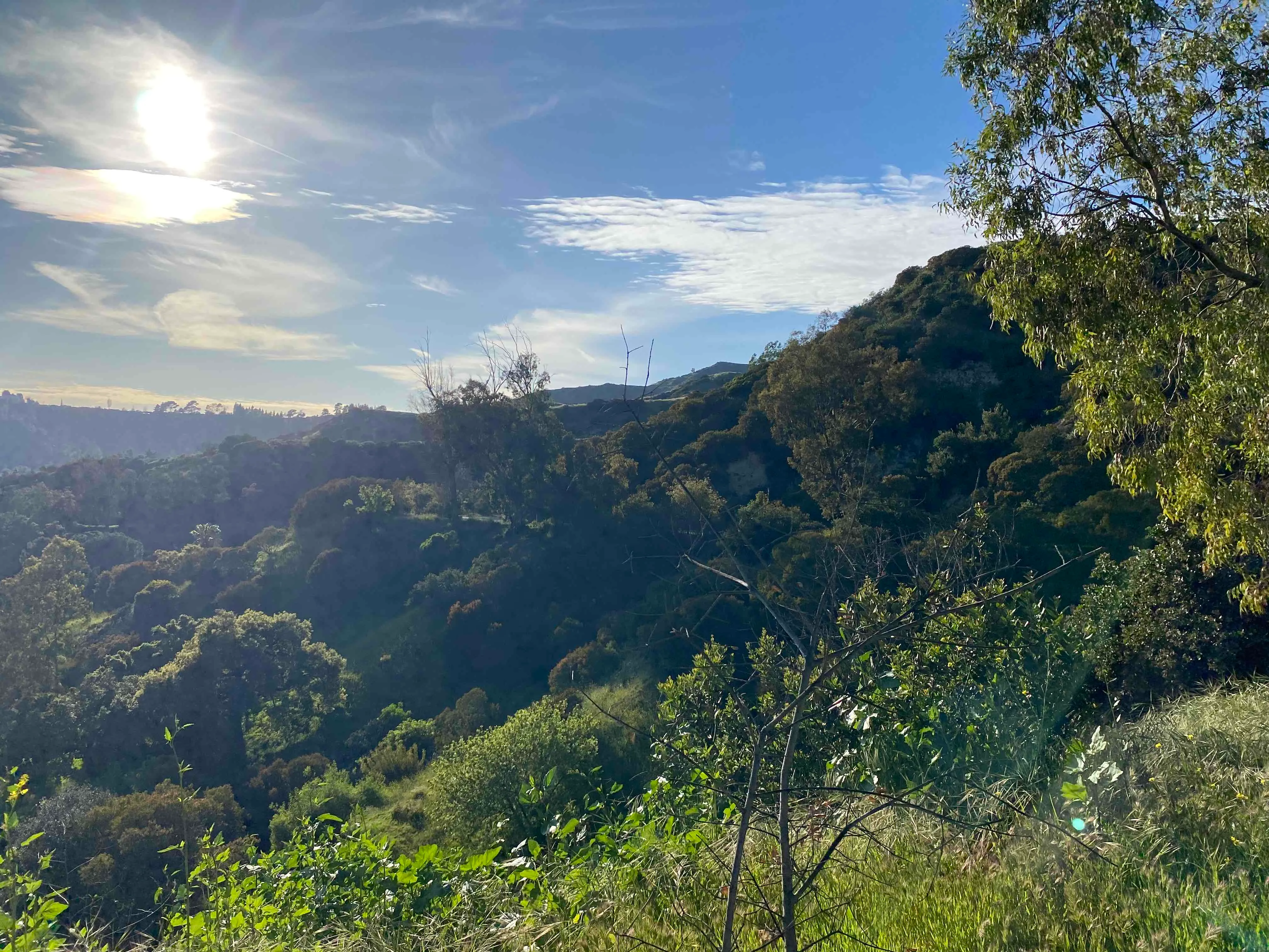 Griffith Park Old Zoo Loop