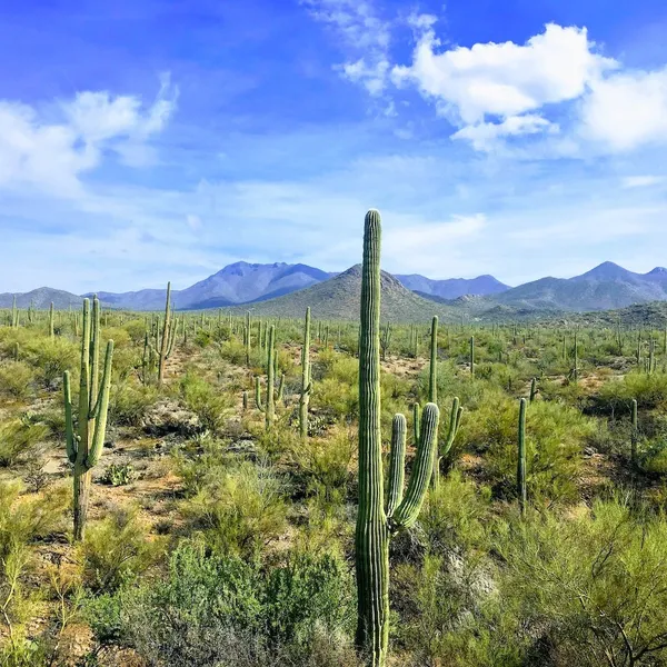 8 Coolest under-the-radar National Parks in the US