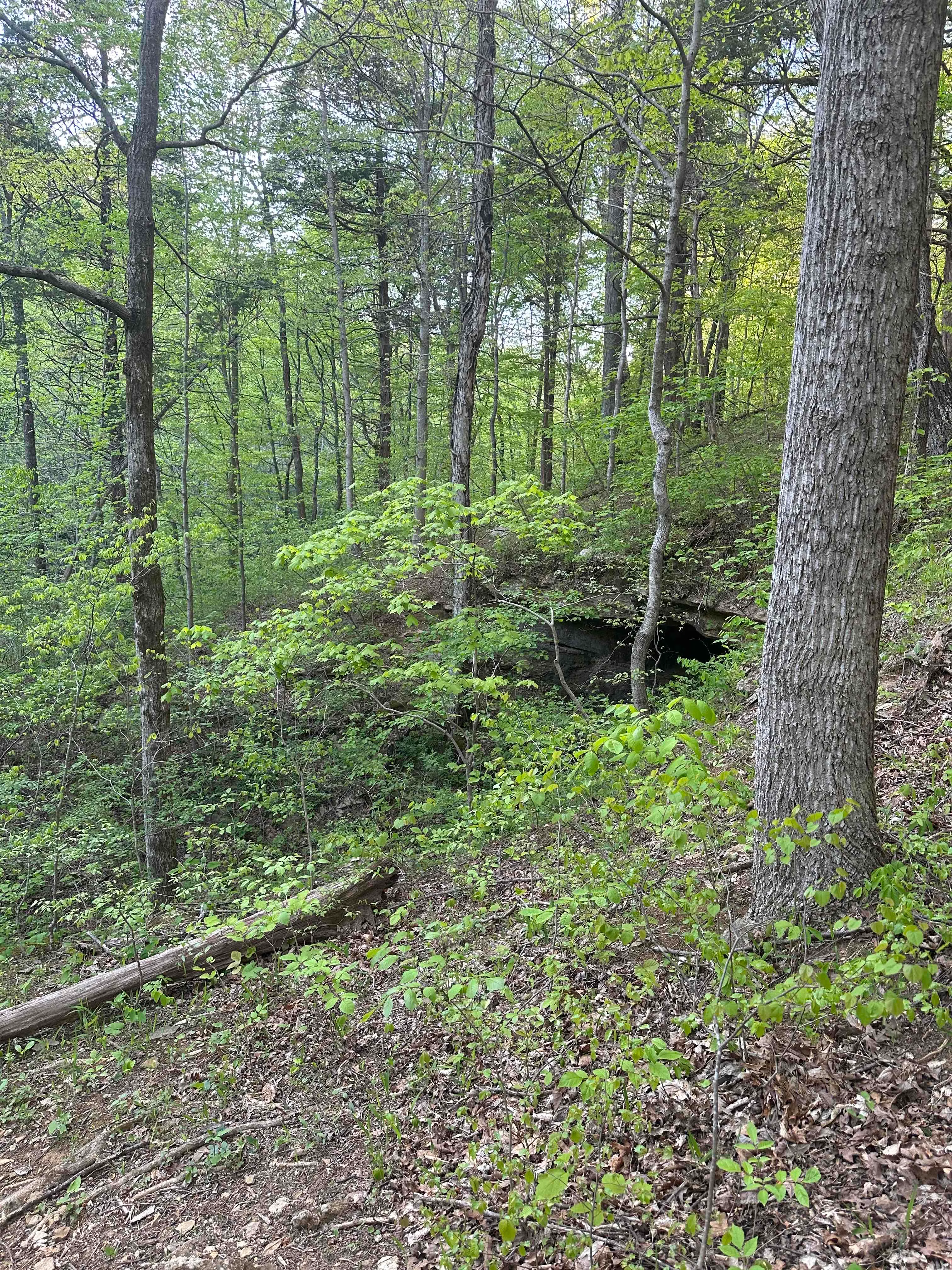 Resurgence Cave
