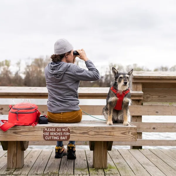 3 Outdoor adventure road trips in North Carolina