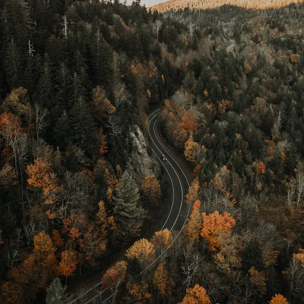 Take this ultimate Blue Ridge Parkway road trip