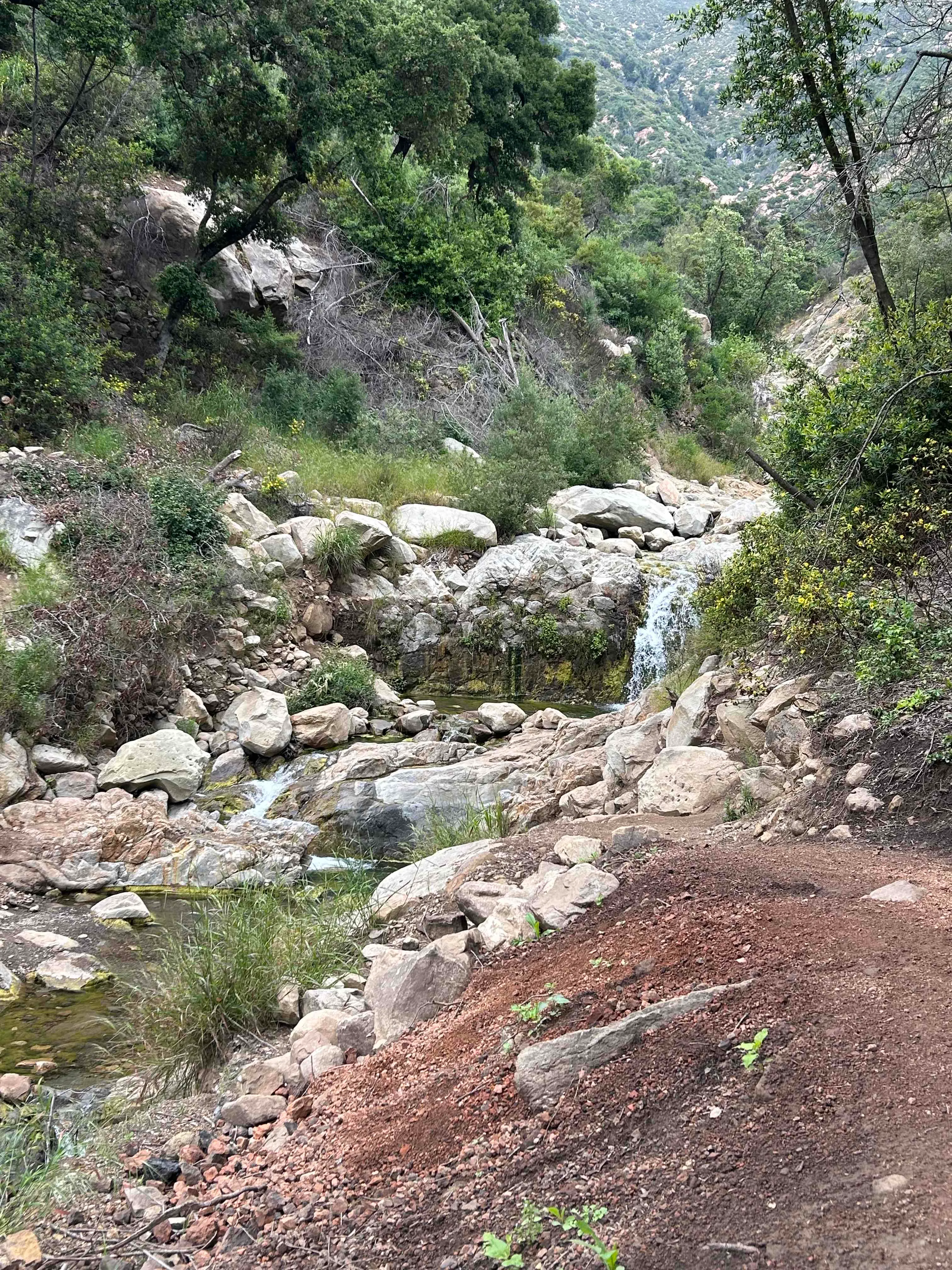 Tangerine Falls