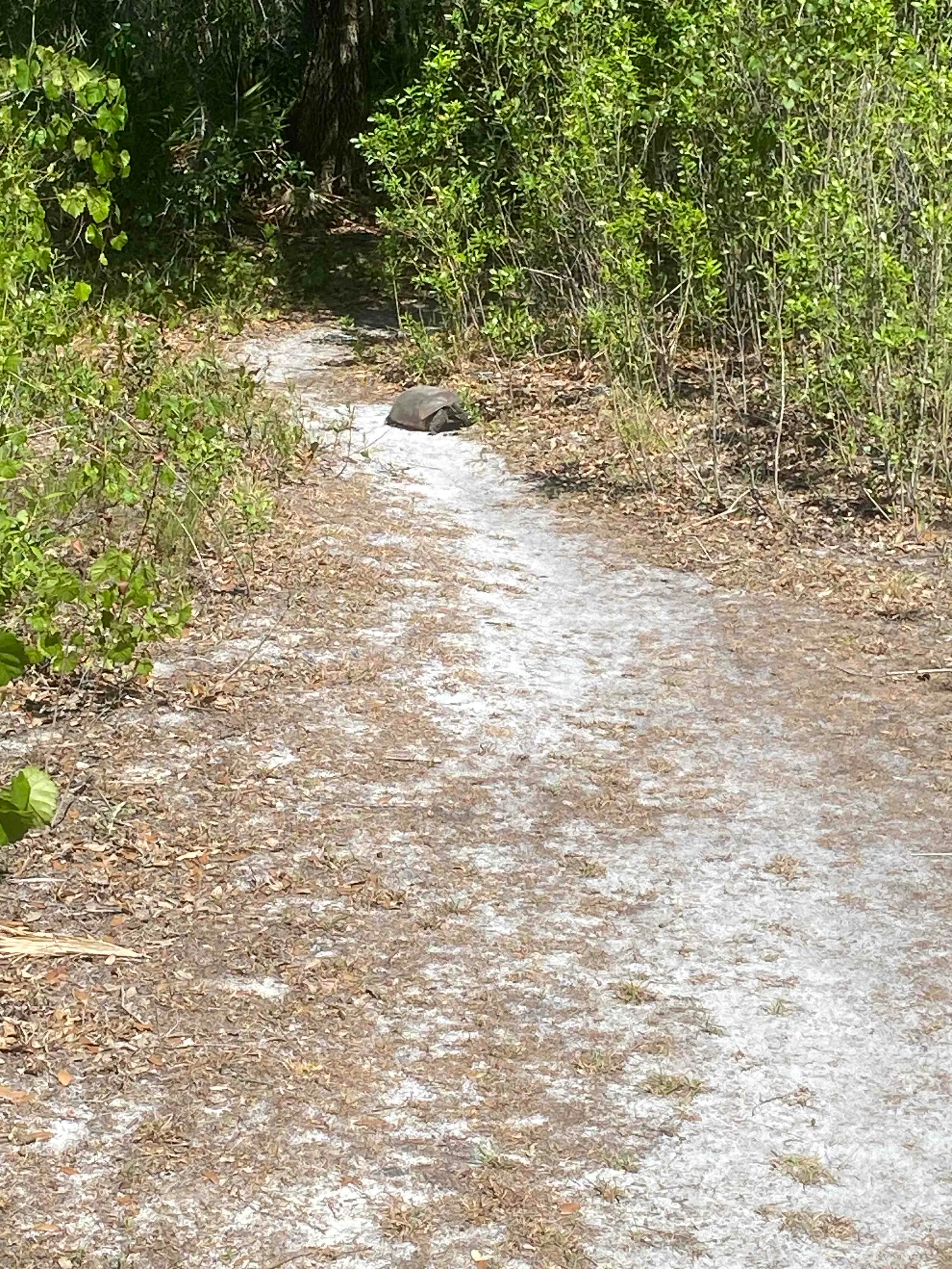 Urfer Family Park Loop