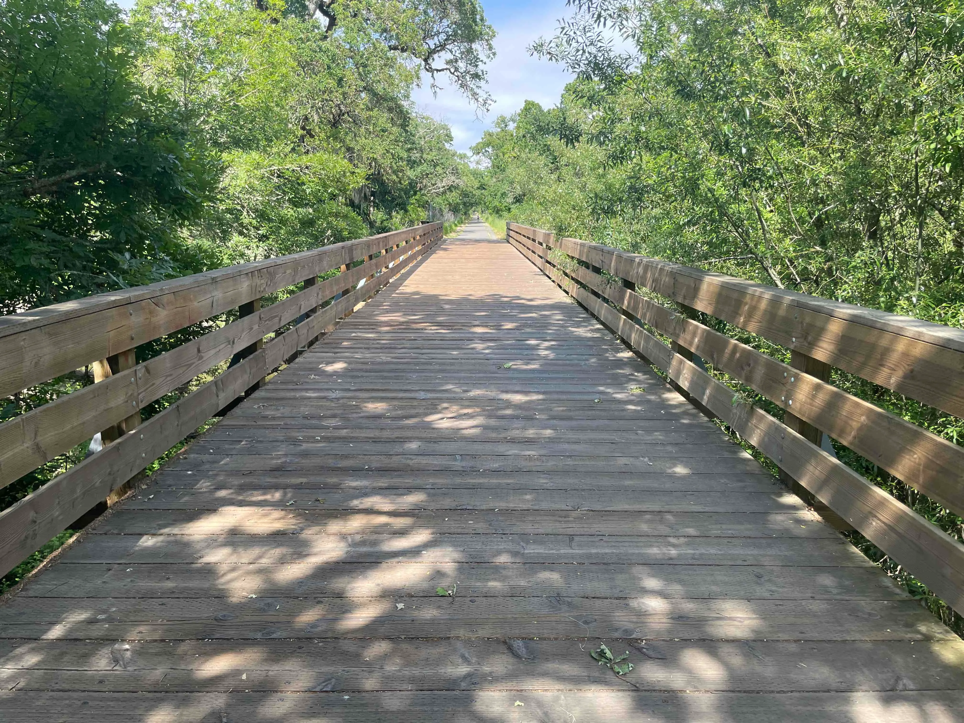 Joe Rodota Trail