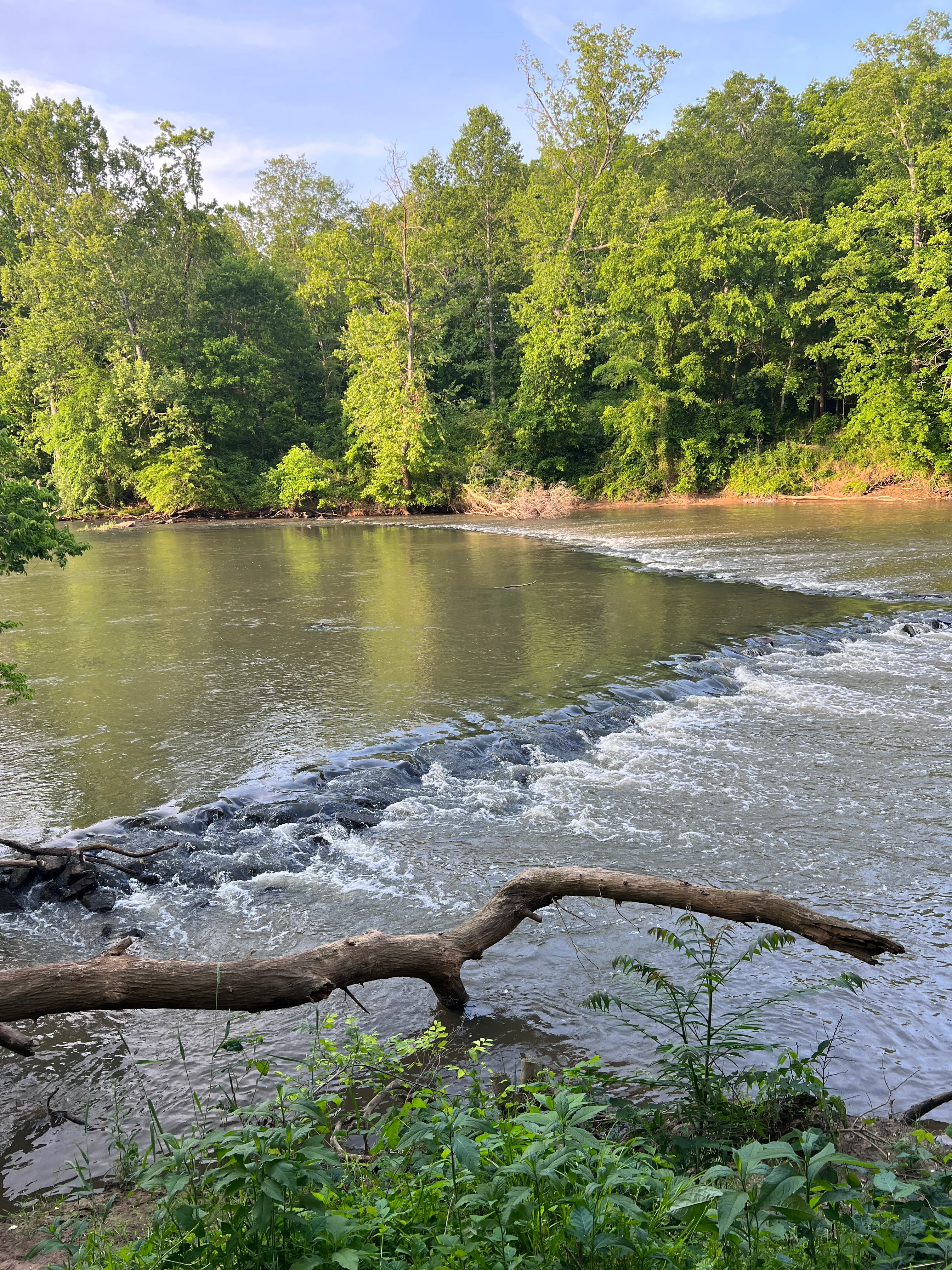 Saxapahaw Island Park