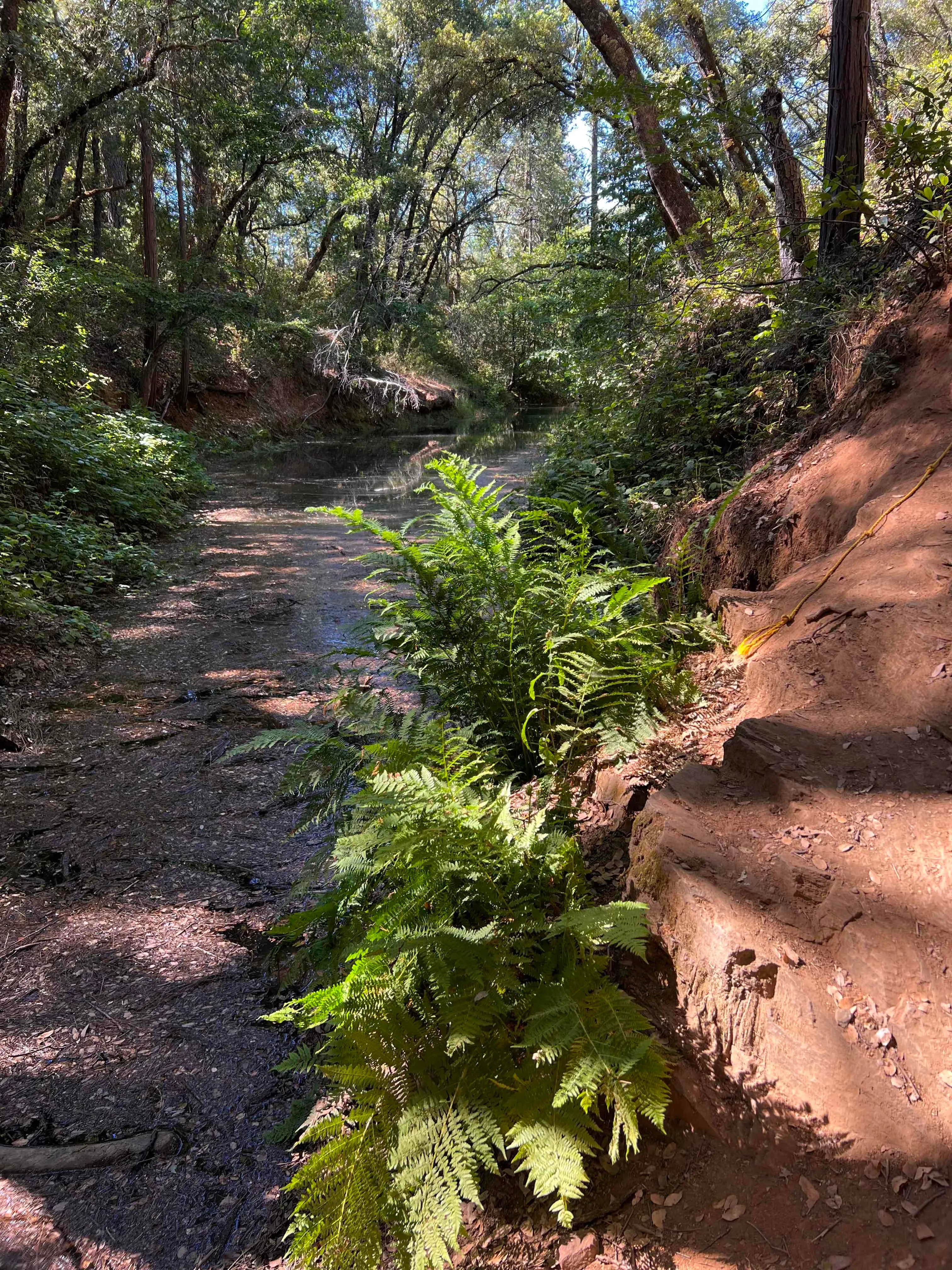 Lake Tabeaud Loop