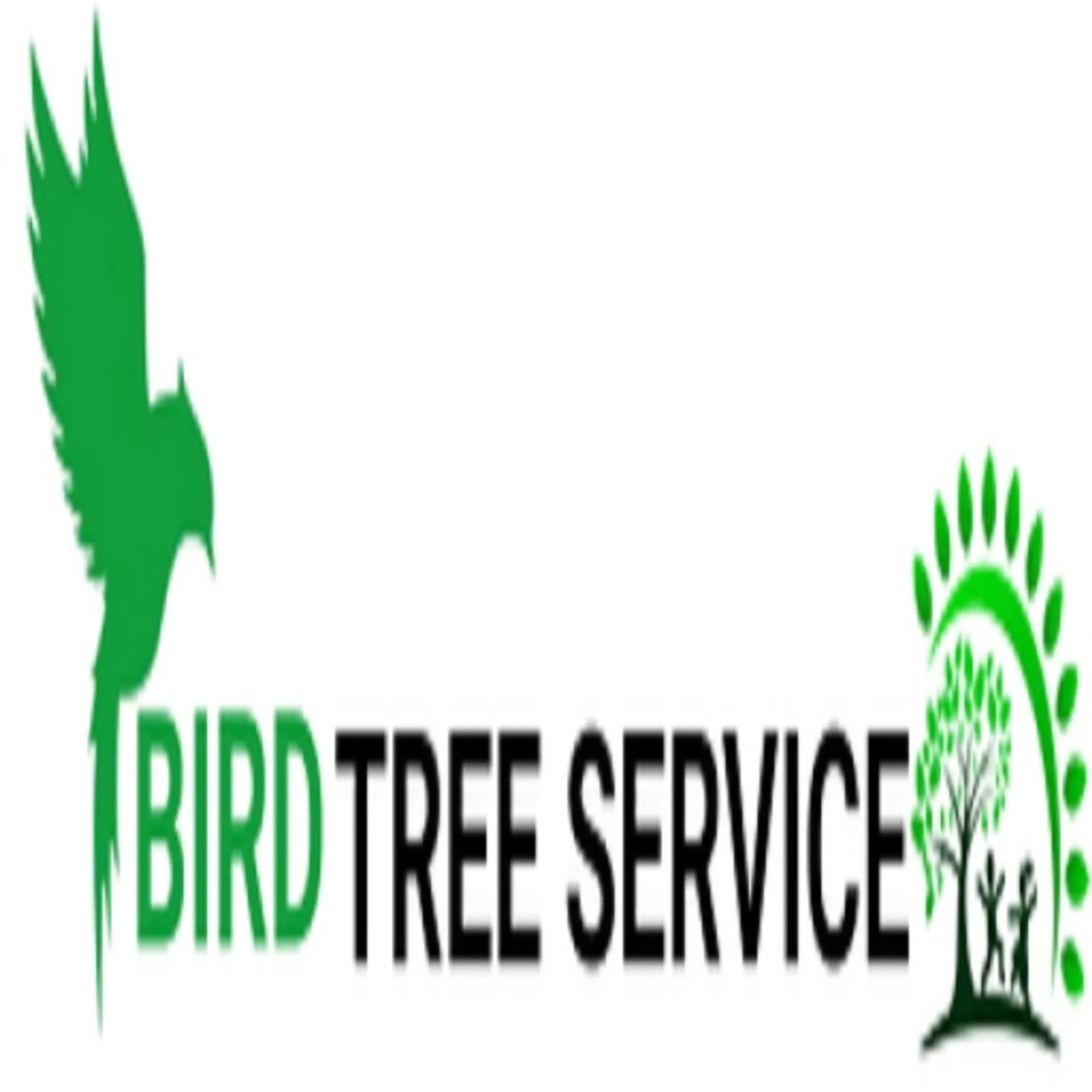 Bird Tree  Service