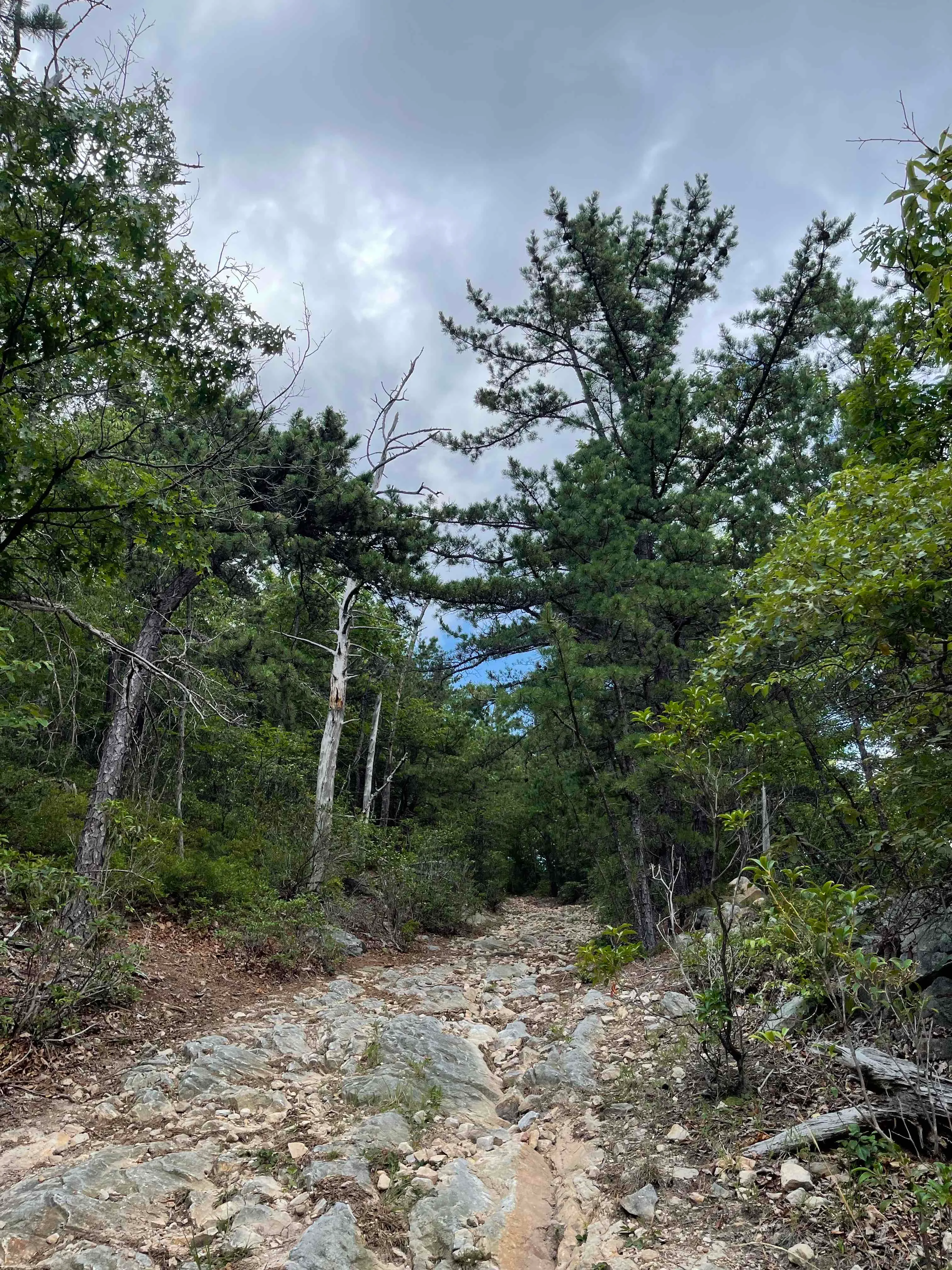 Orkney Springs Trail