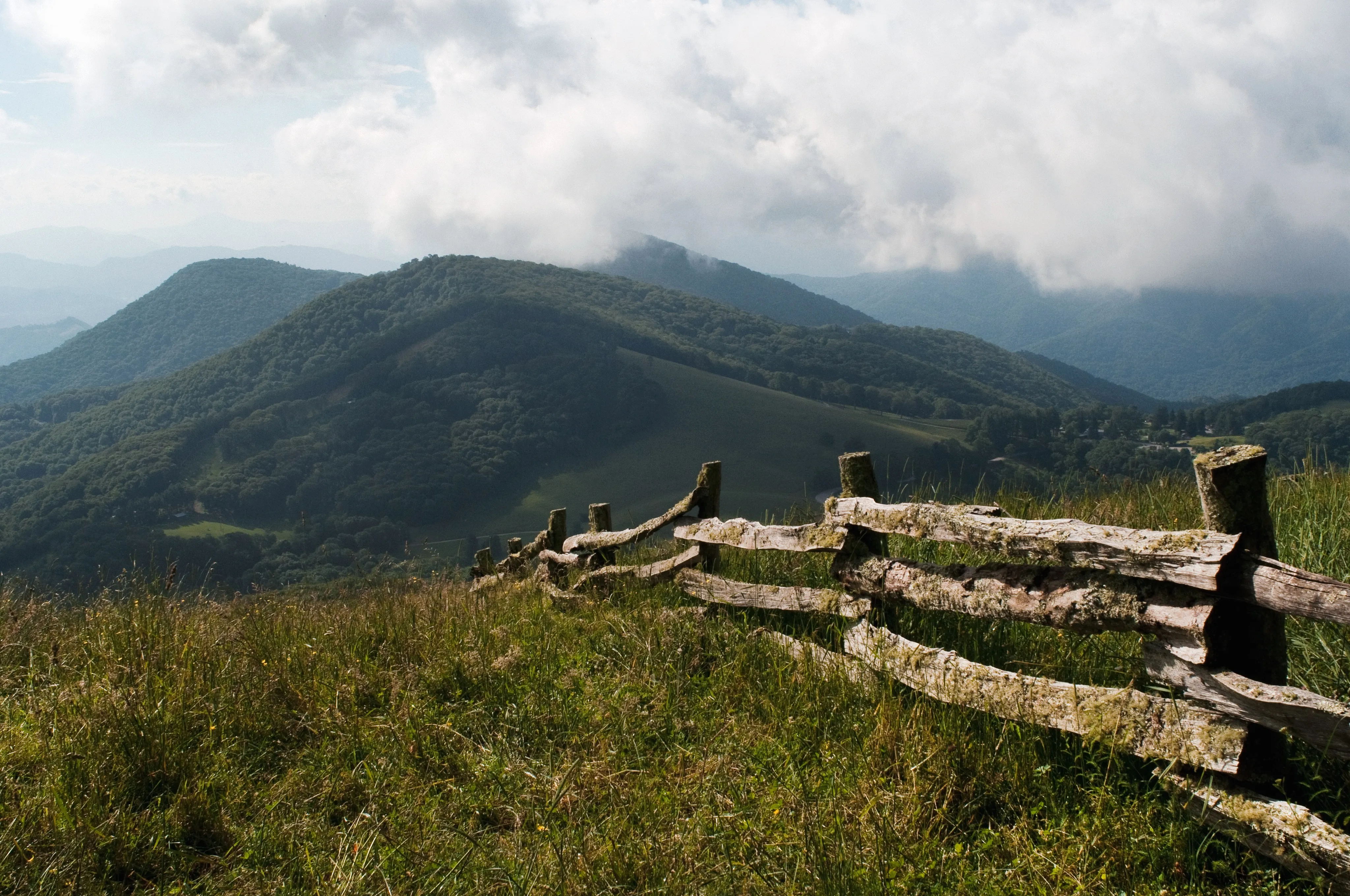 Hemphill Bald
