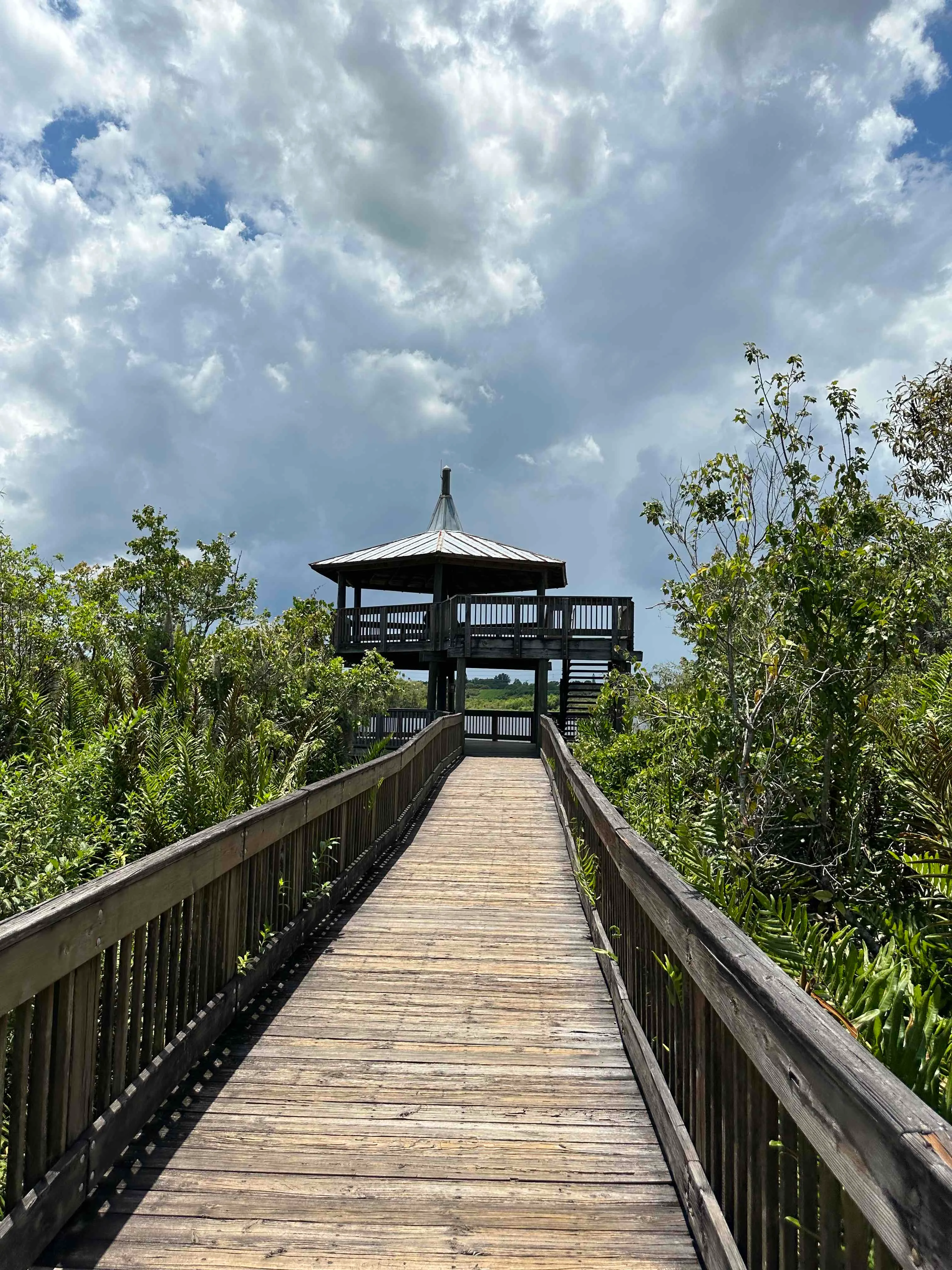 Sawgrass Lake Park Trail