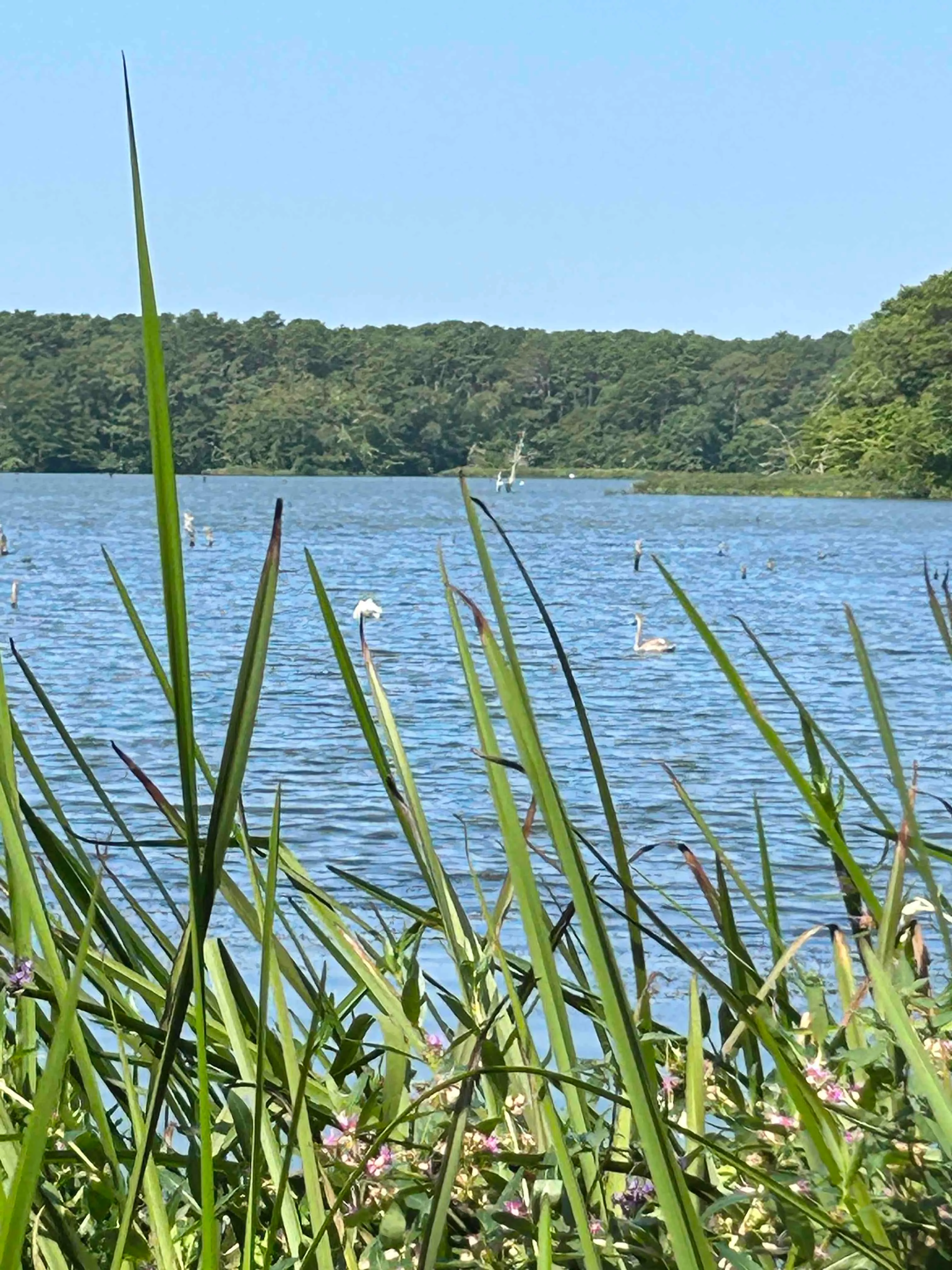 West Reservoir