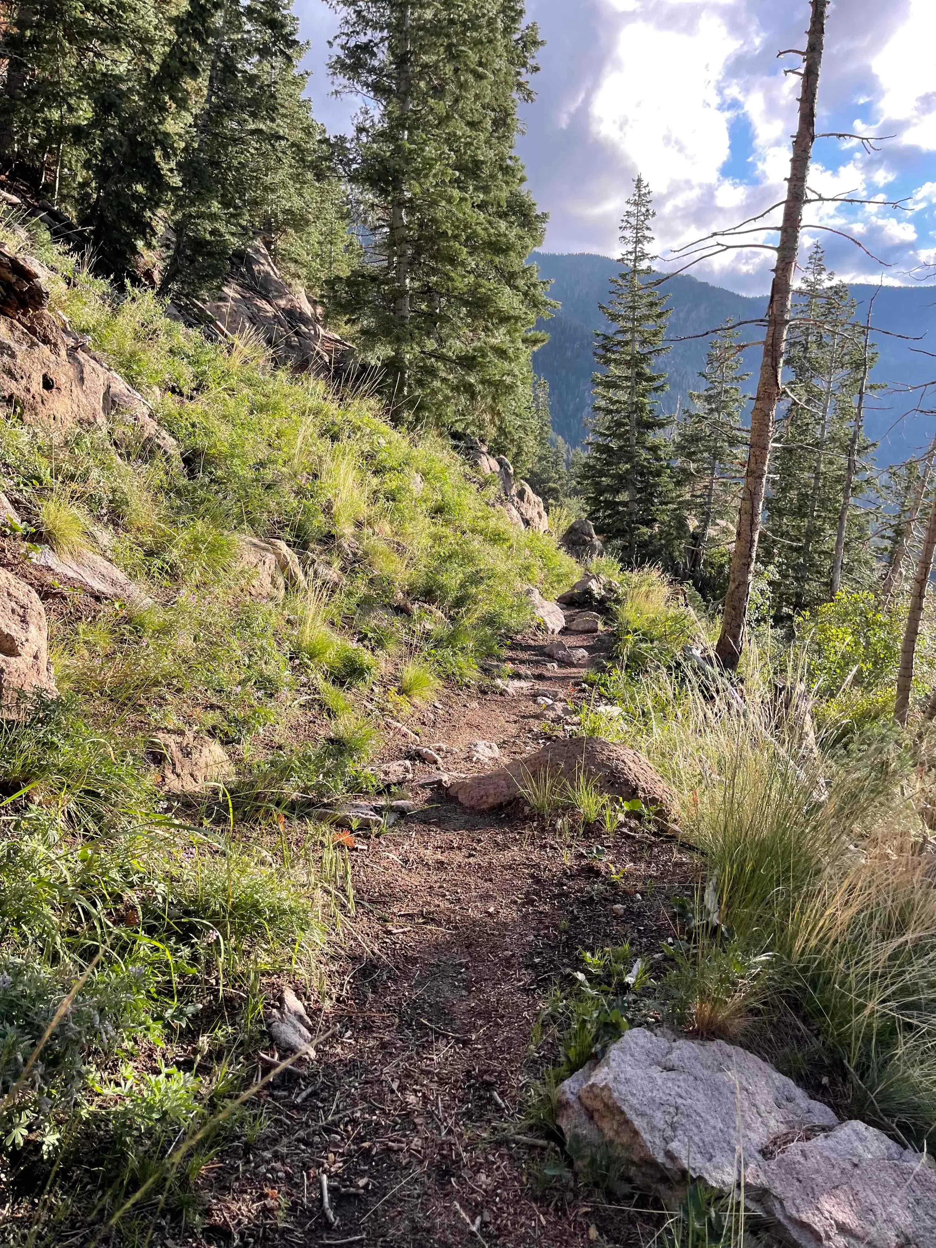 Whipple Trail