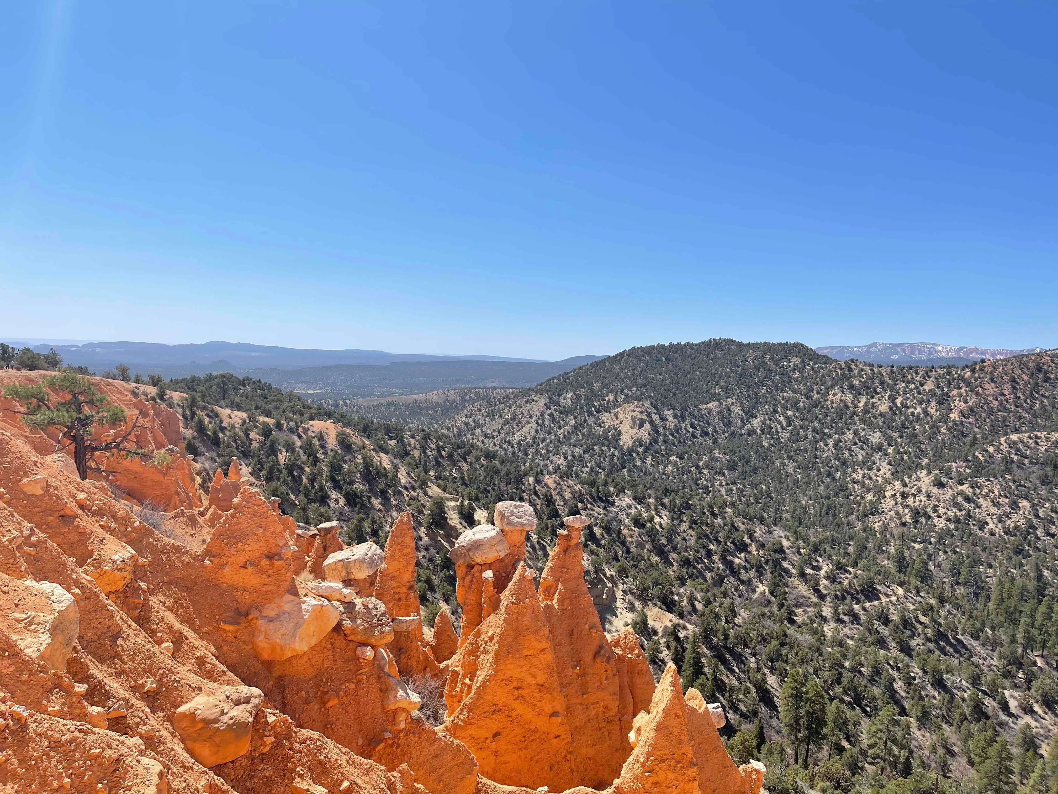 Hat Shop via Under the Rim Trail